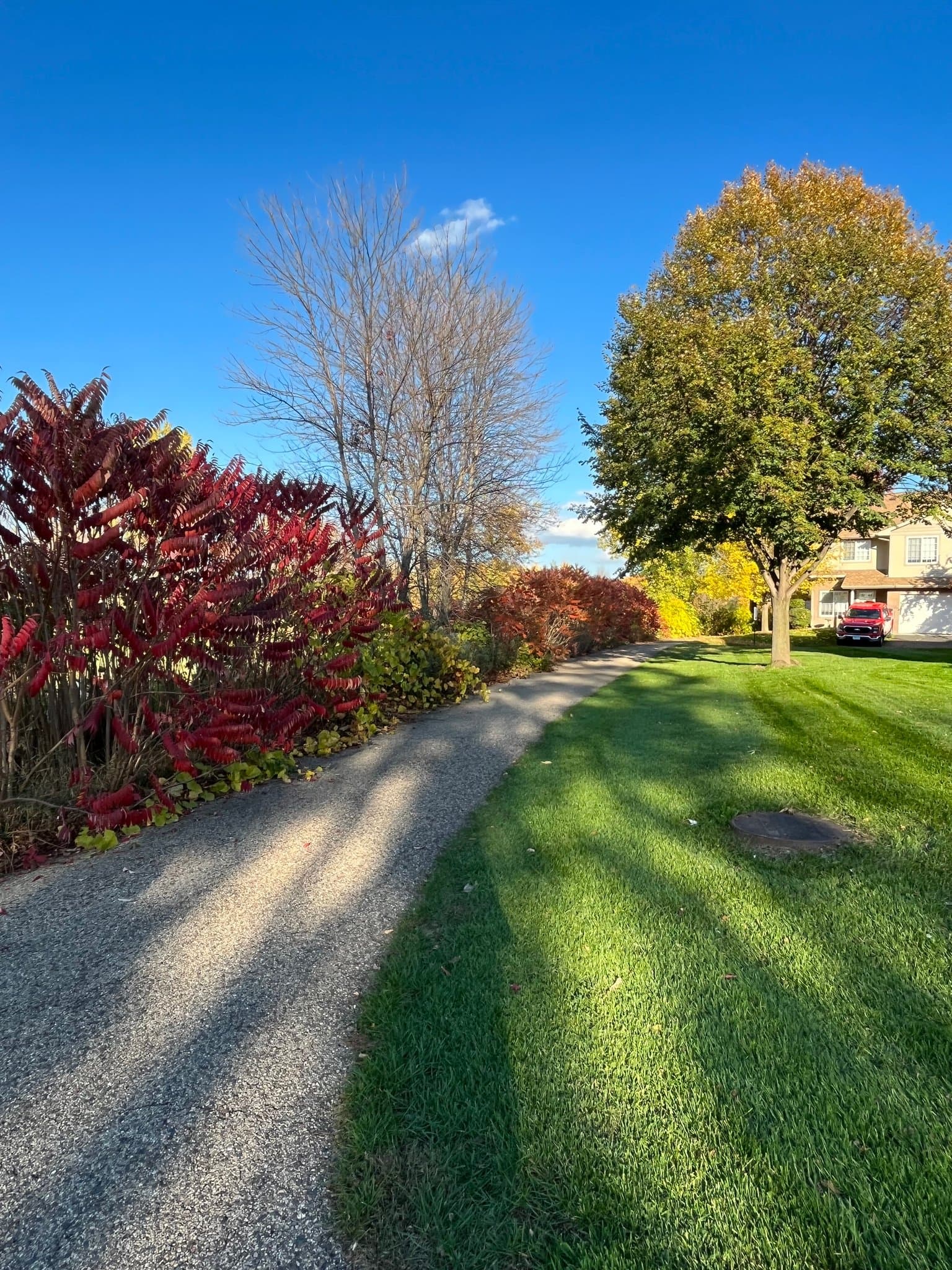 Forest Lake Townhome: 21217 N Clydesdale Curv