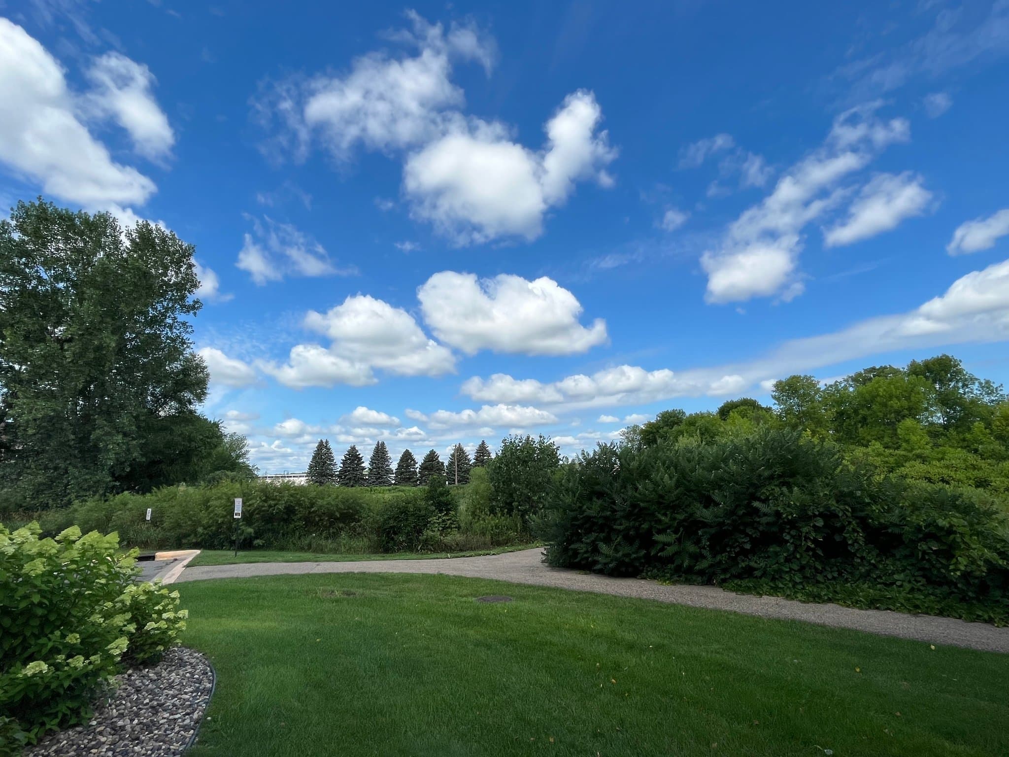 Forest Lake Townhome: 21217 N Clydesdale Curv