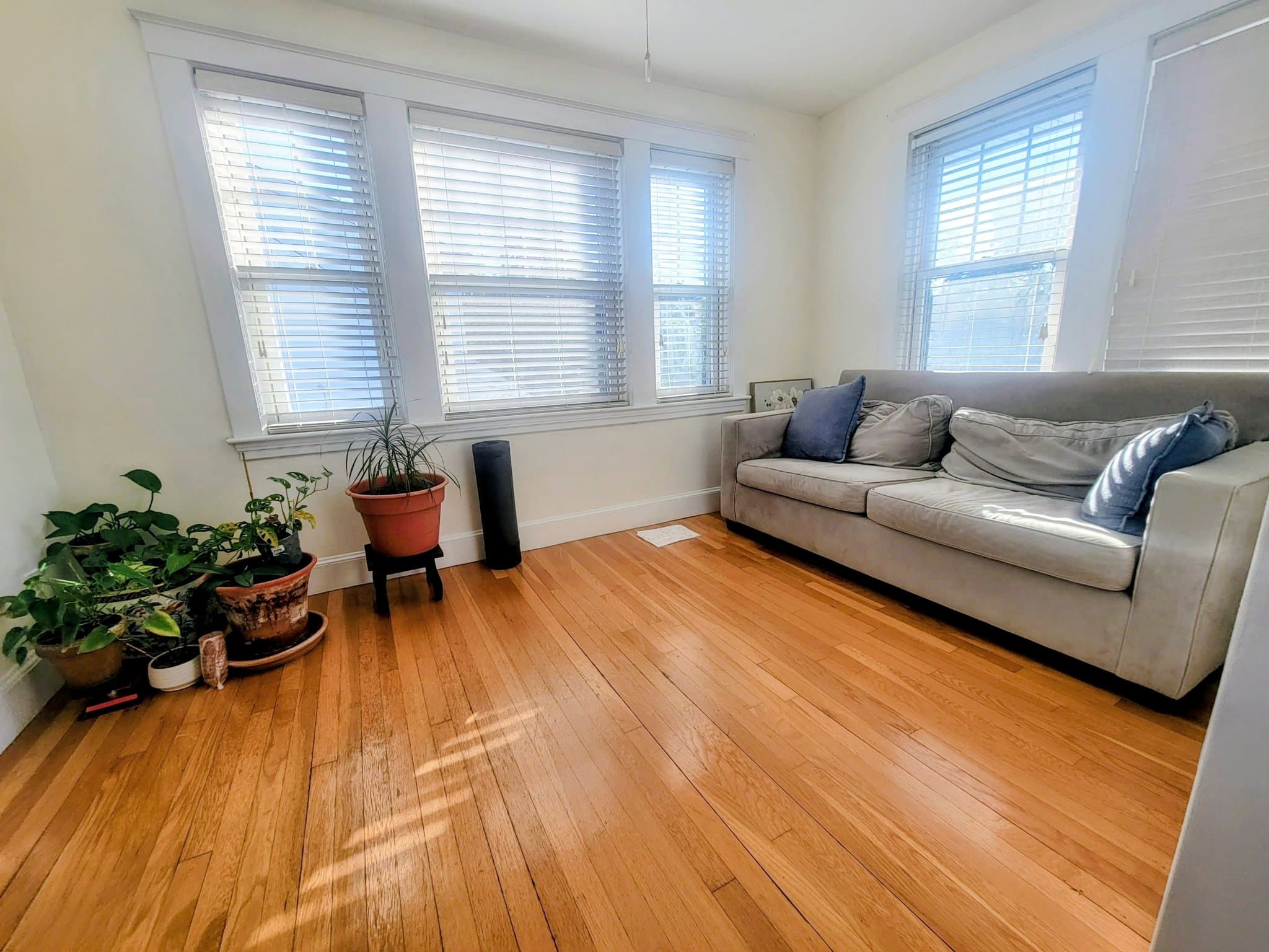 Belmont Condo: 340 Common St