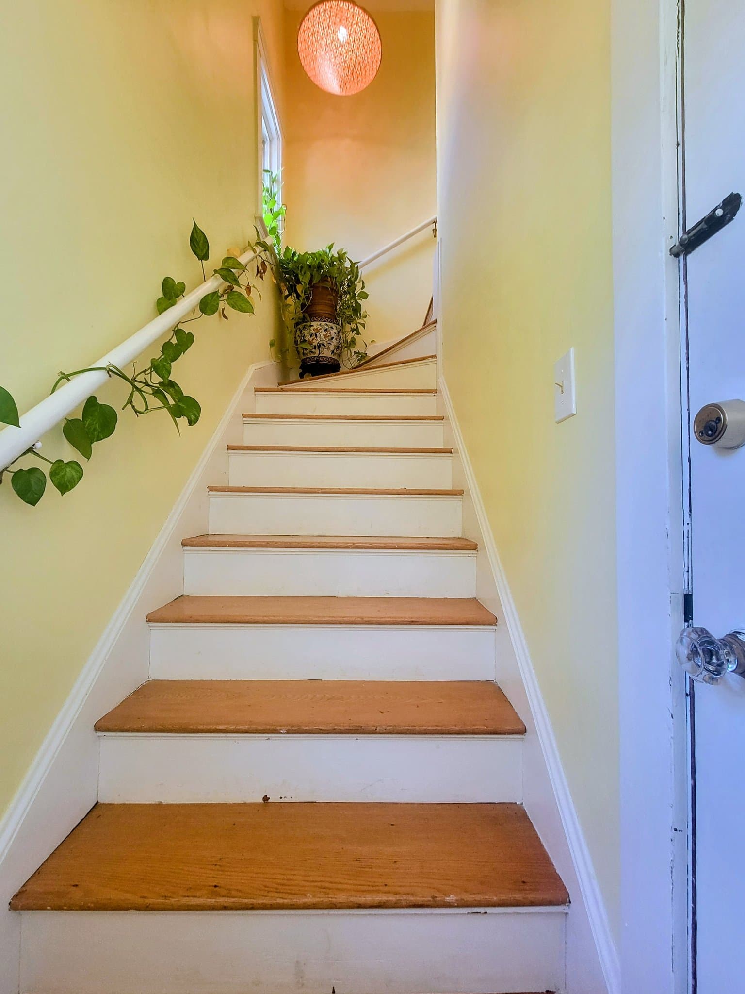 Belmont Condo: 340 Common St