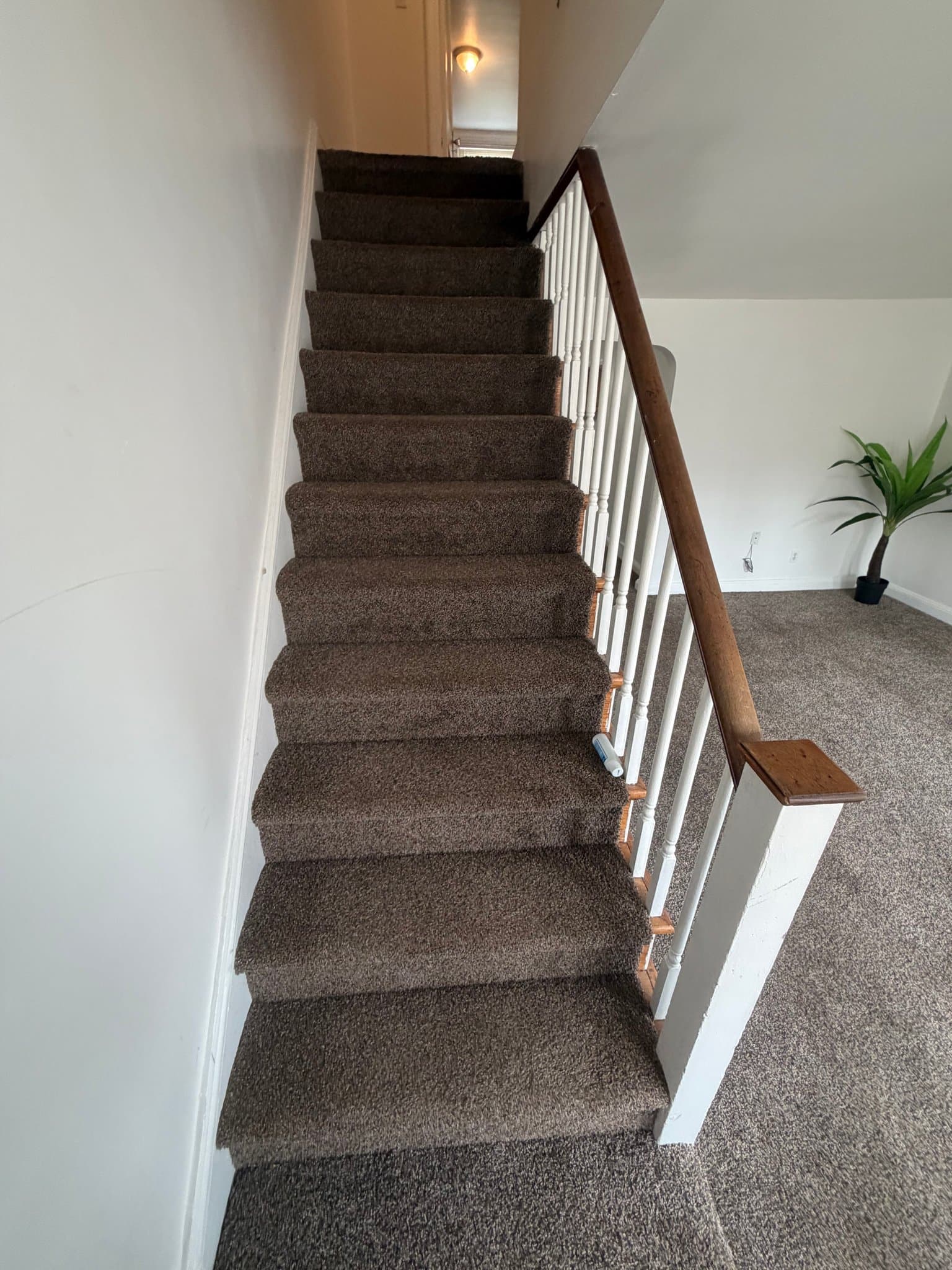 Chester House: 142 W 21st St