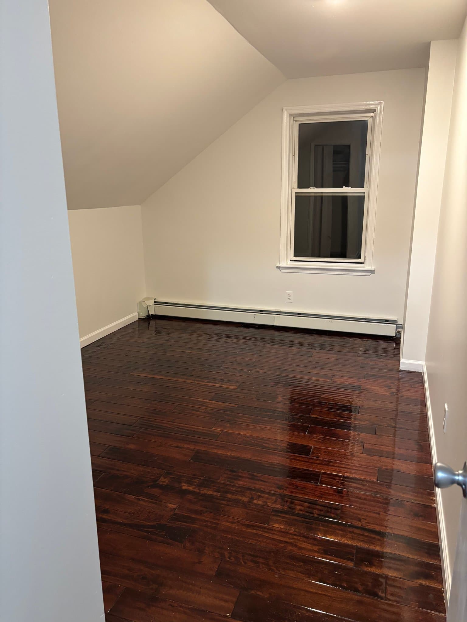 Albany Single Room: 205 Ontario St