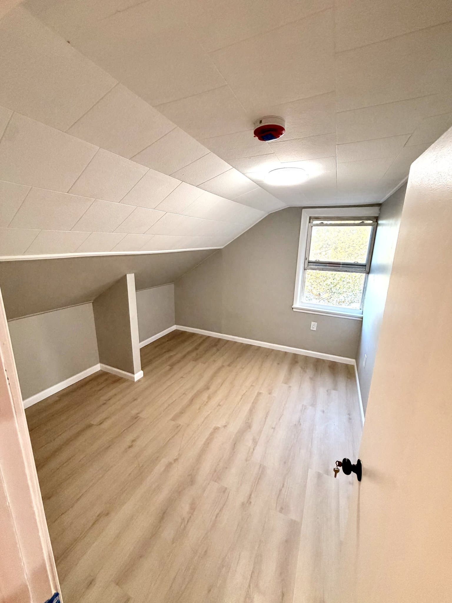 NEWARK Single Room: 390 LAFAYETTE ST