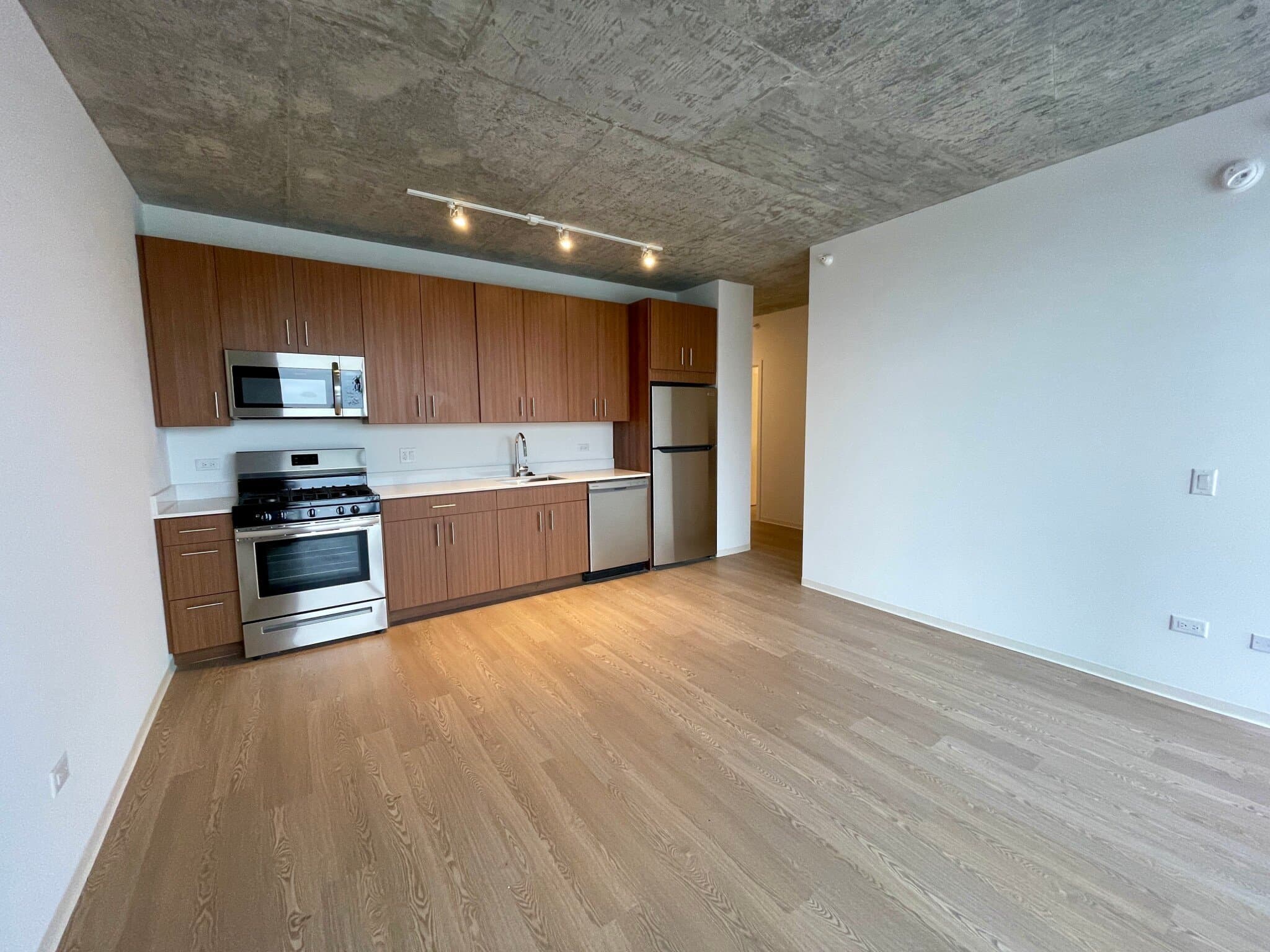 Chicago Condo: 1389 S Wabash Ave