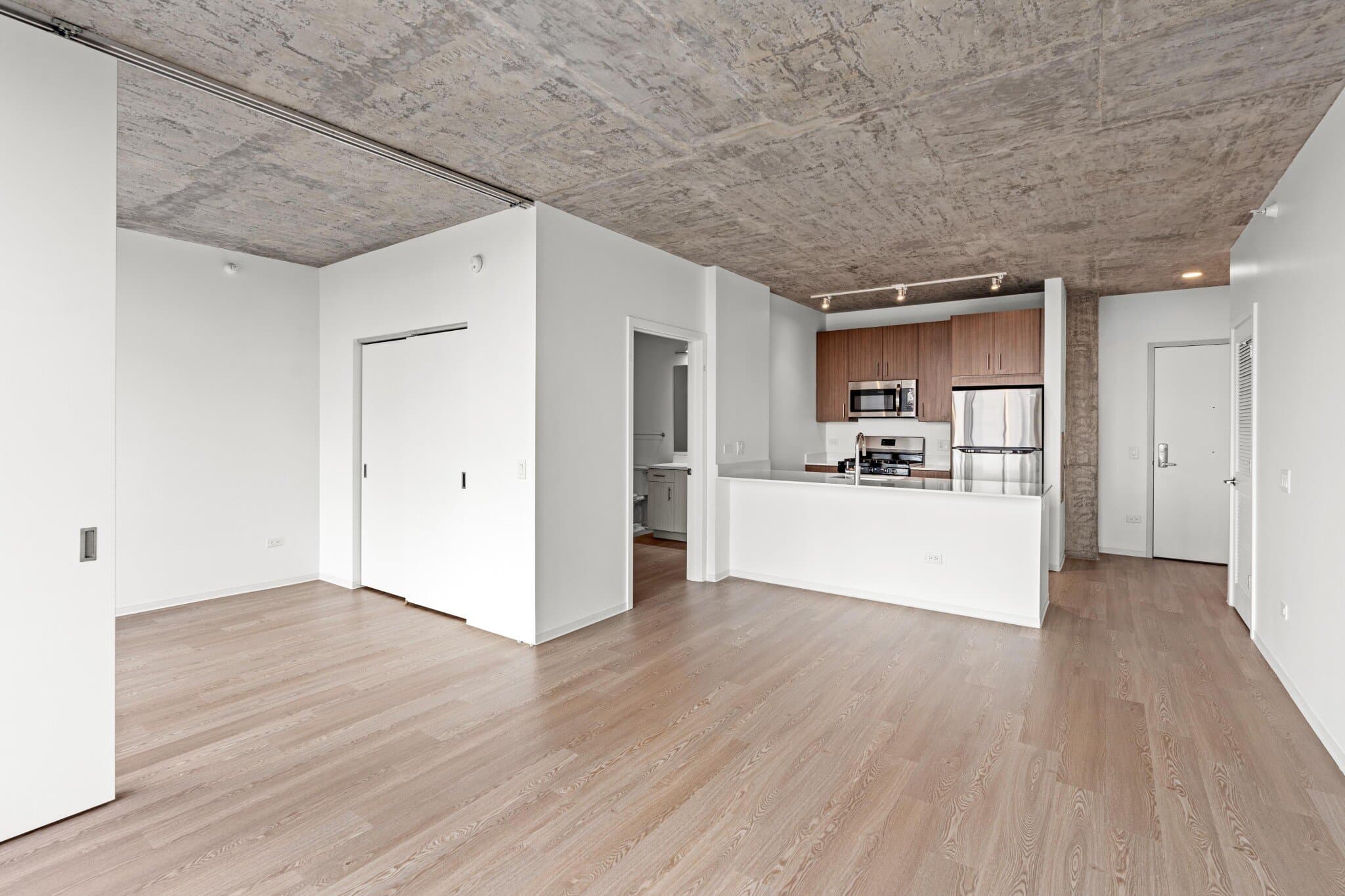 Chicago Condo: 1389 S Wabash Ave