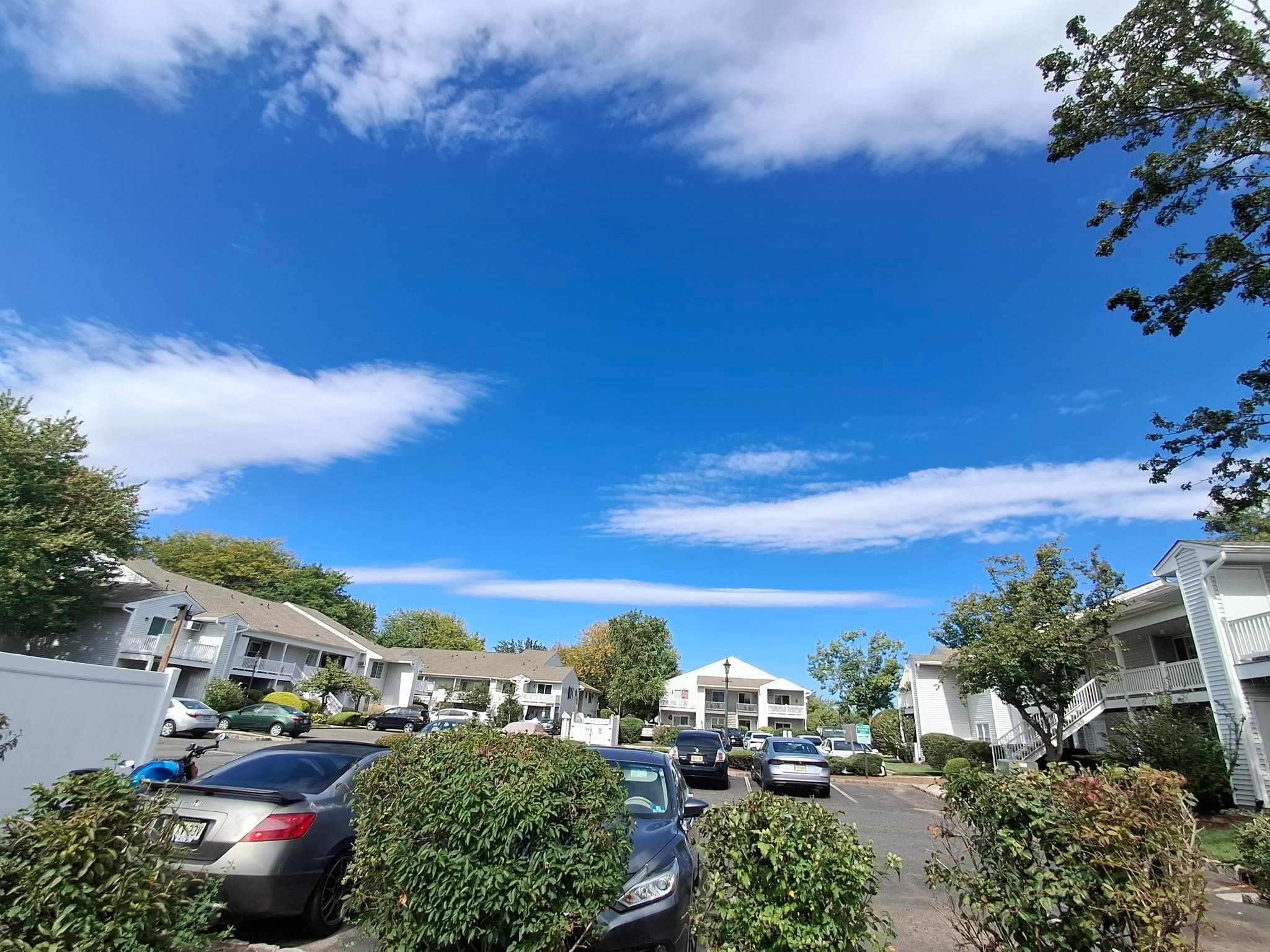 Bedminster Condo: 26 Larkspur Ct