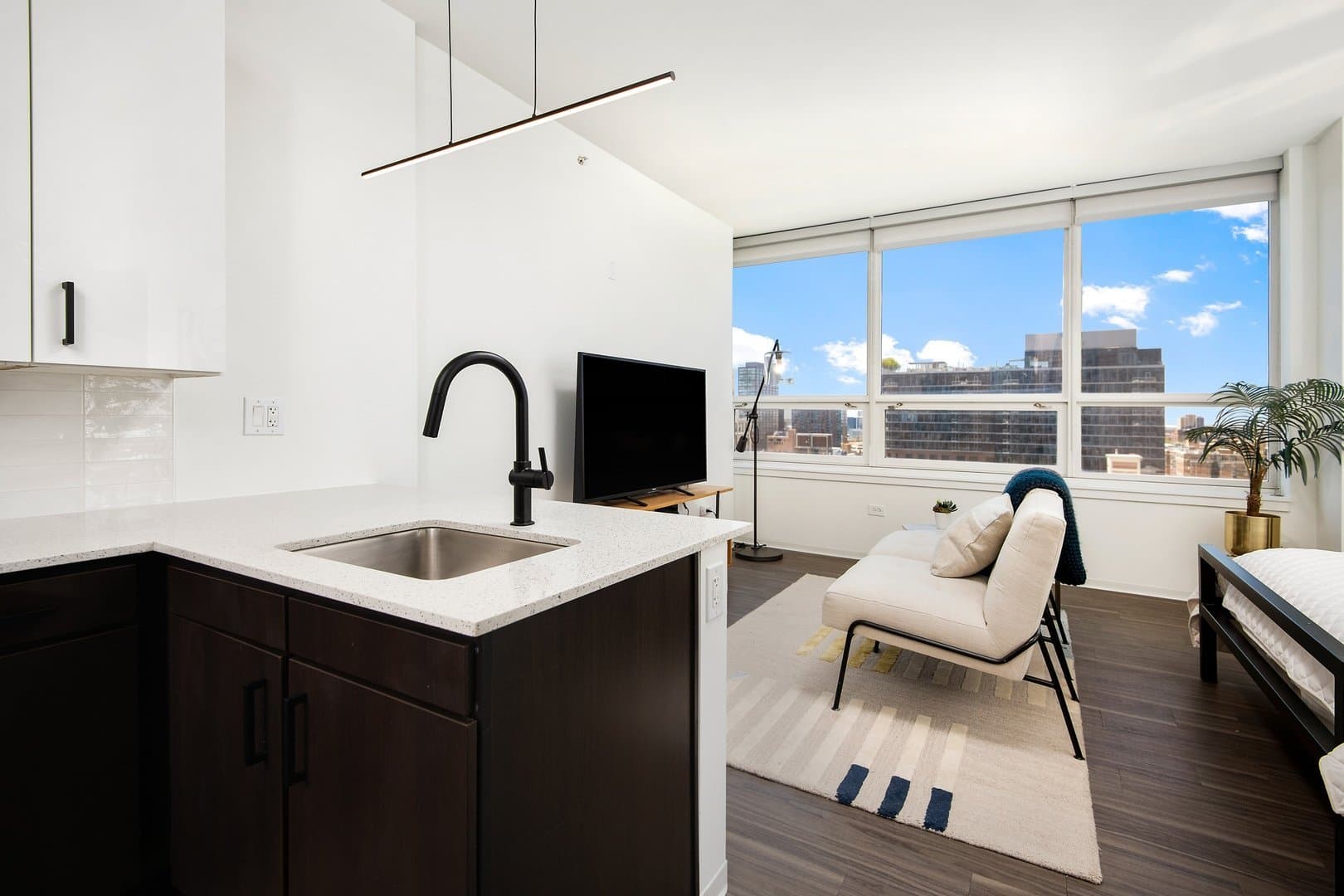Chicago Condo: 201 S Halsted St
