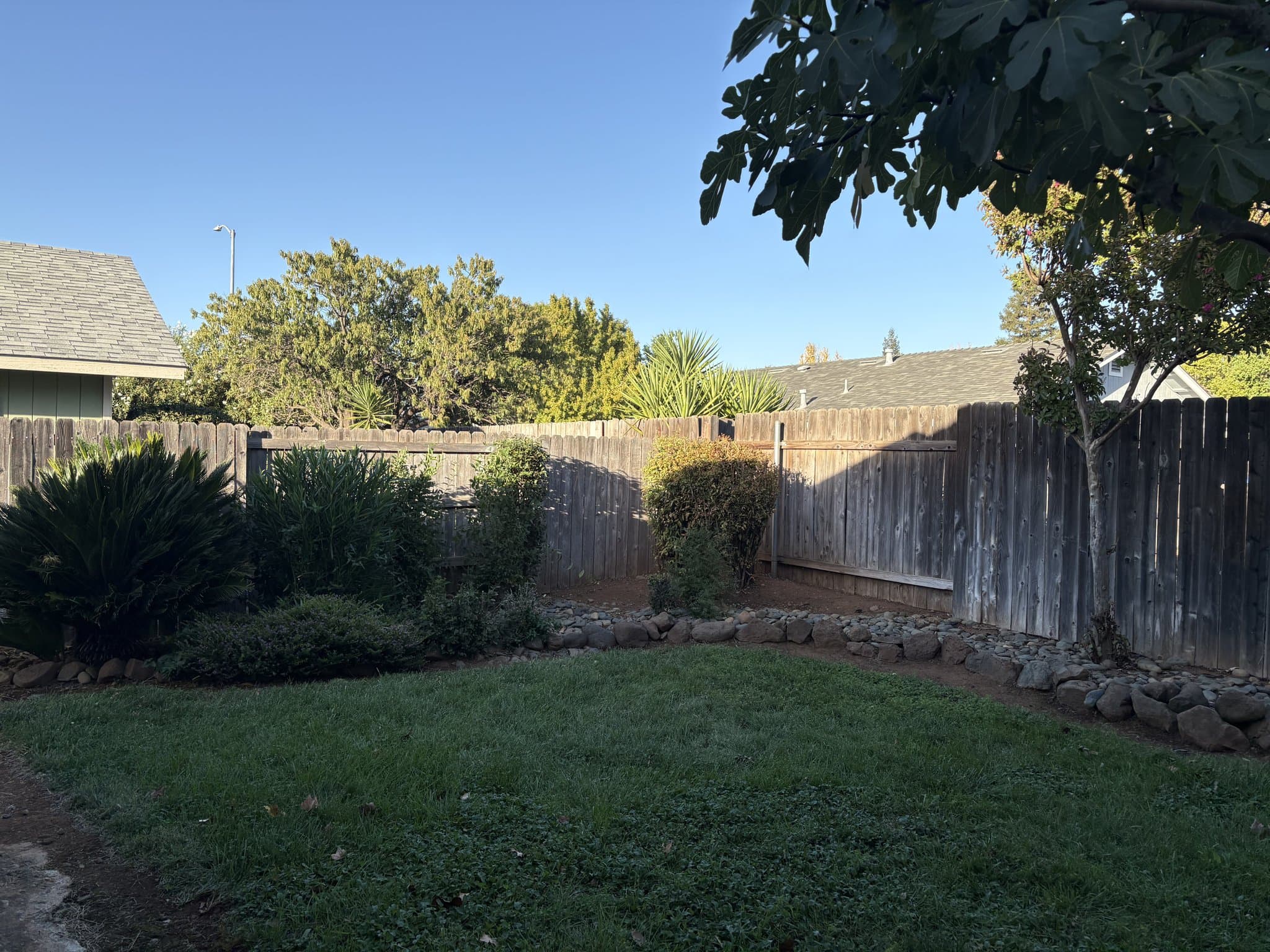 Chico House: 159 Artesia Dr