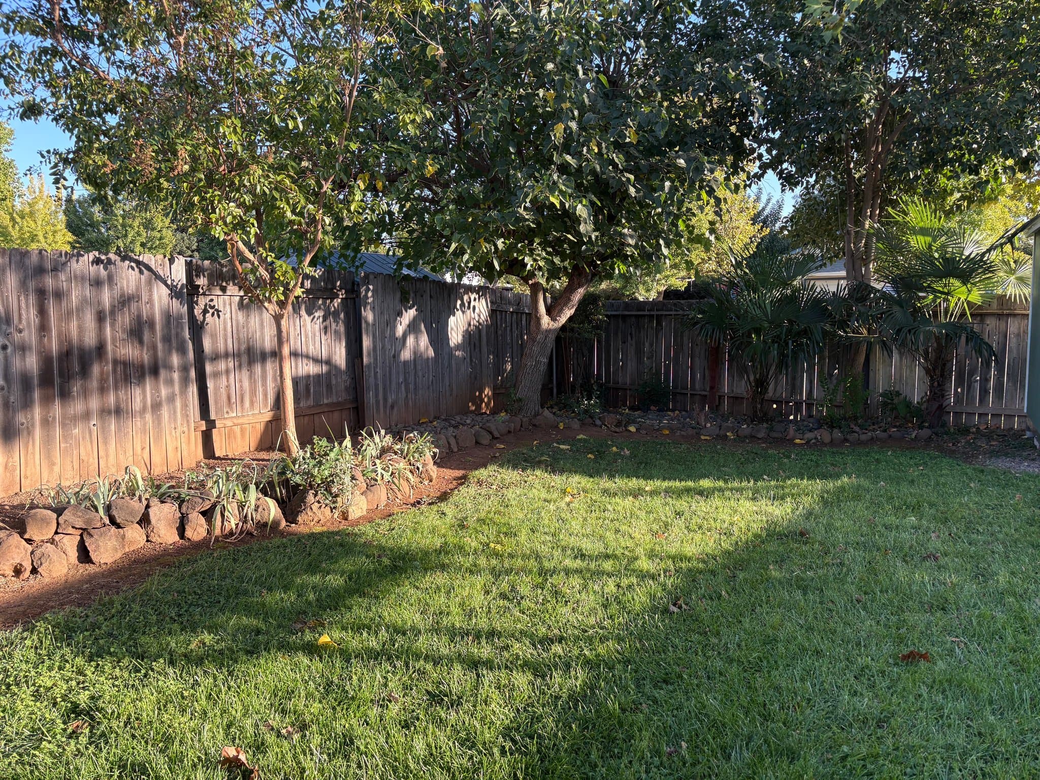 Chico House: 159 Artesia Dr