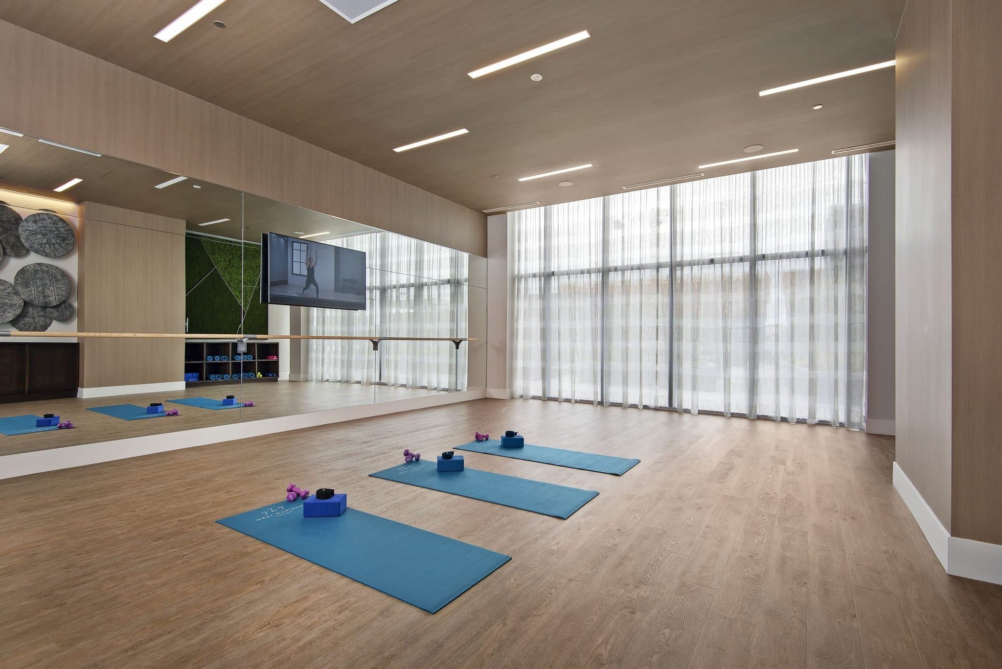 Chicago Condo: 20 S Halsted St