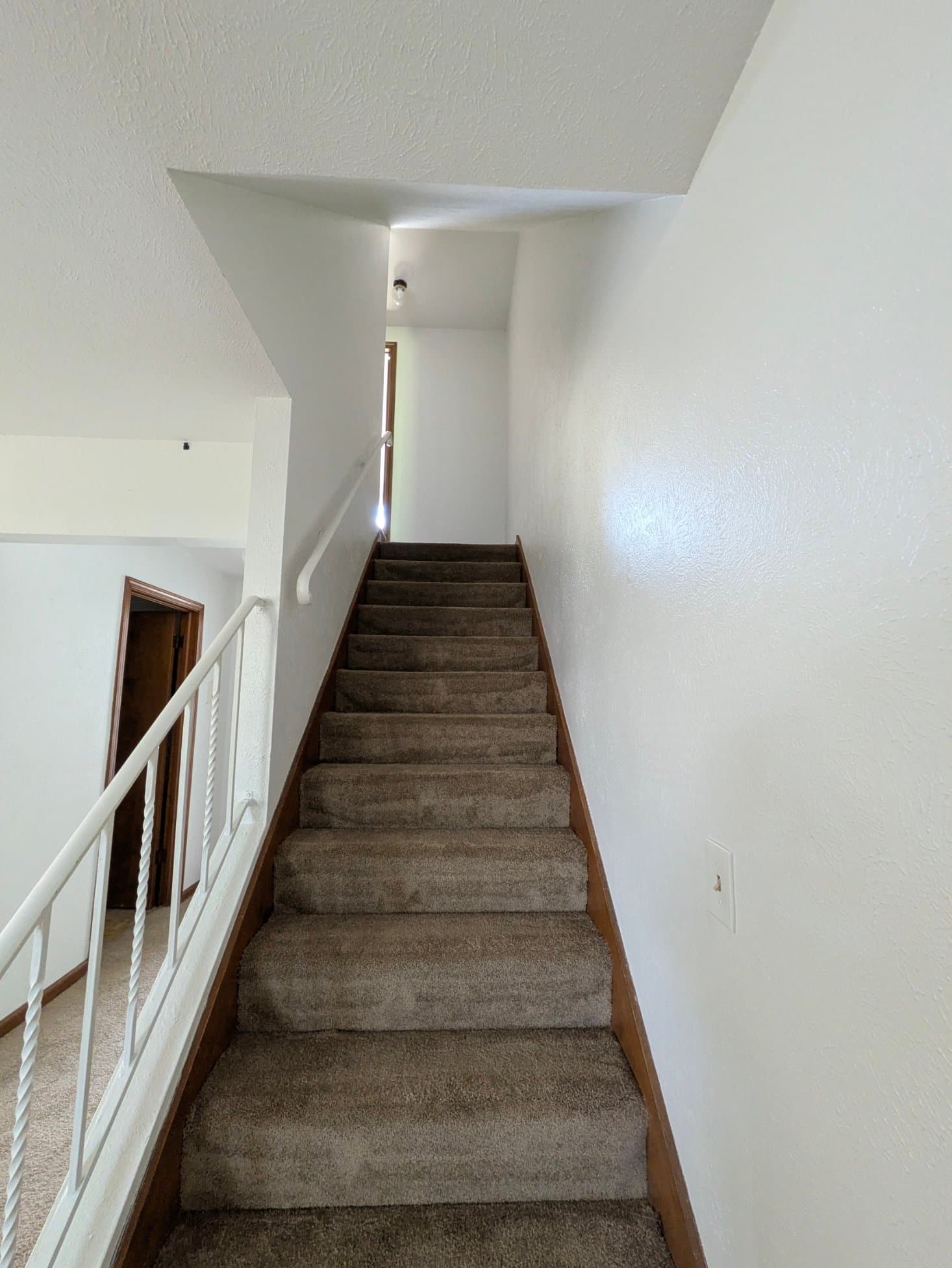 Toledo Multiplex: 5435 Glenridge Drive