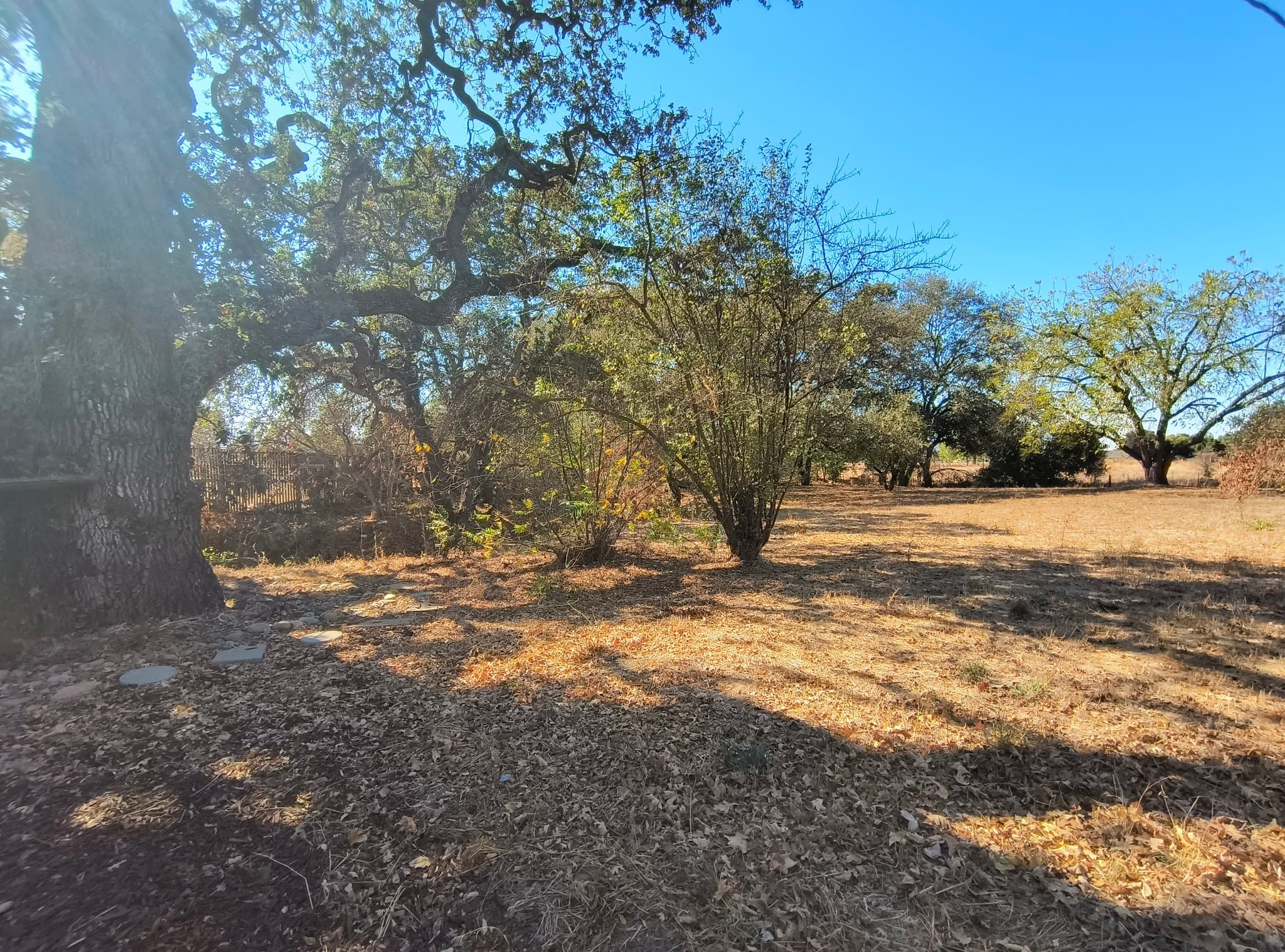 Gilroy House: 11695 Foothill Ave