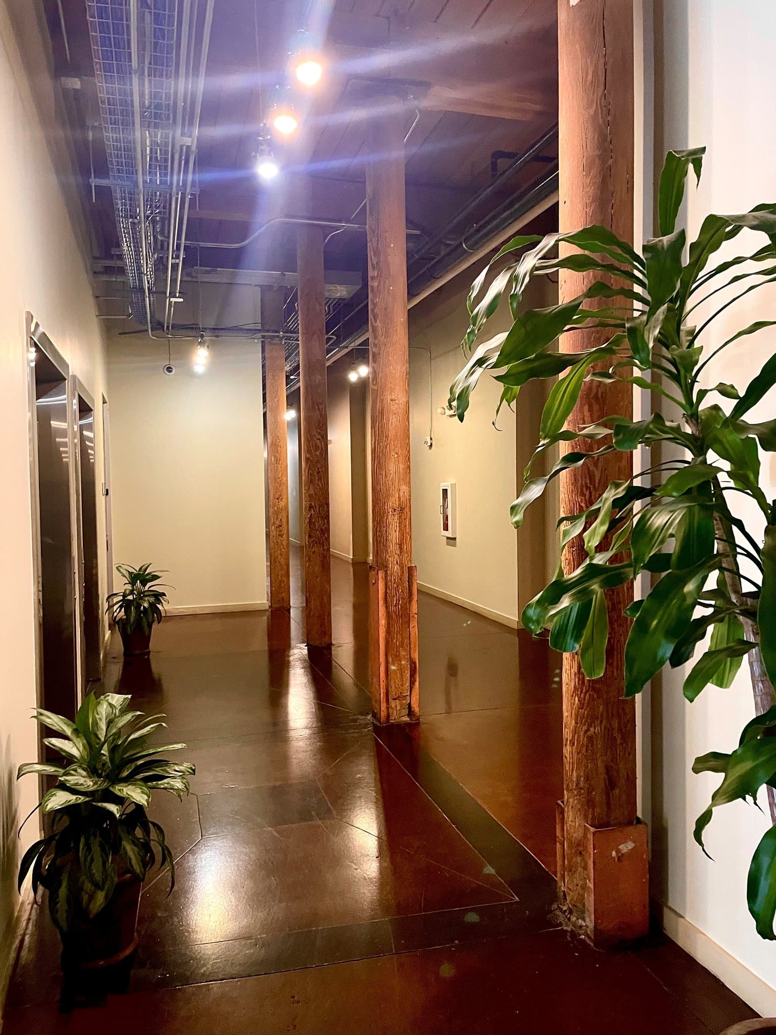 Greenville Condo: 400 Mills Ave