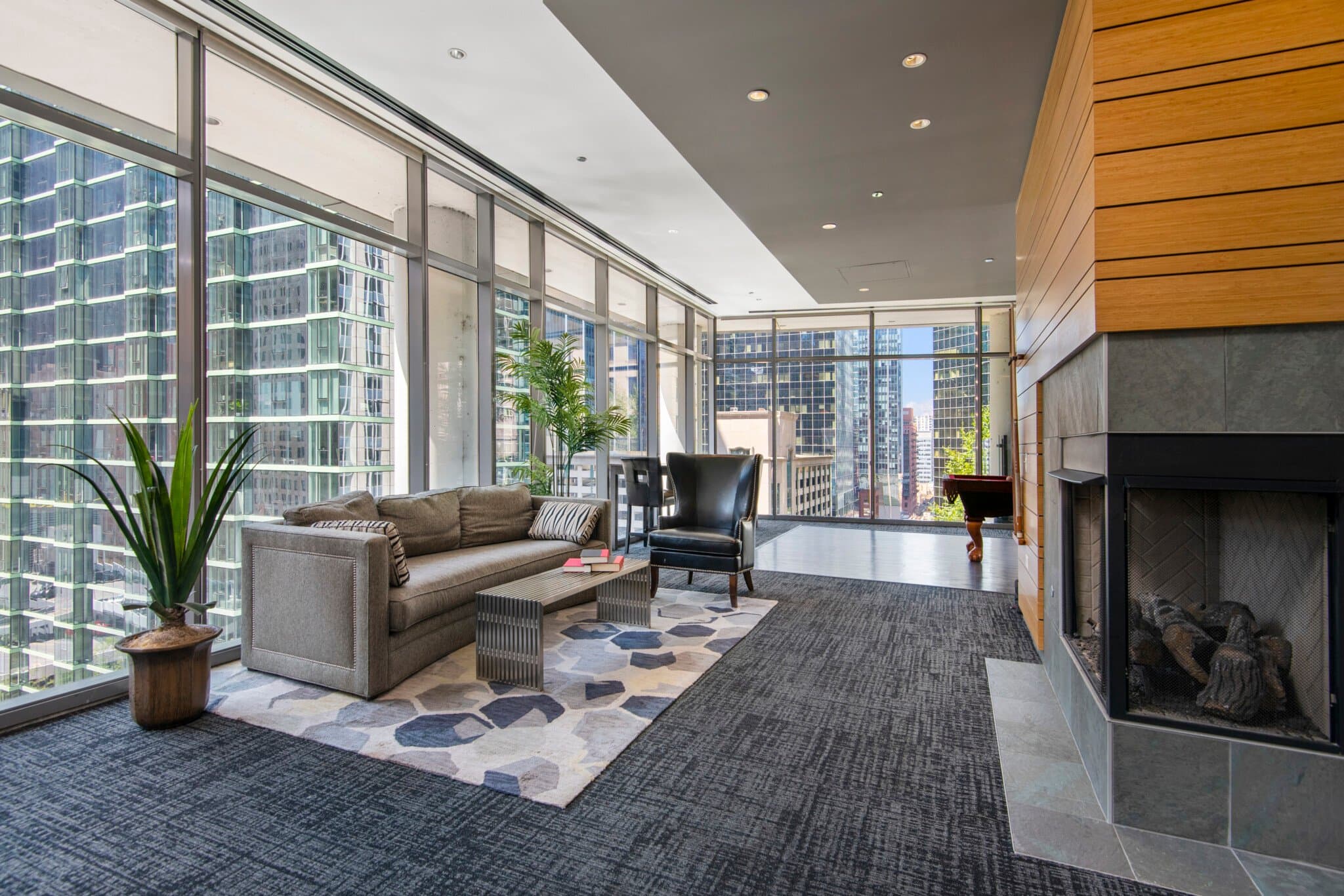 Chicago Condo: 179 N Wells St
