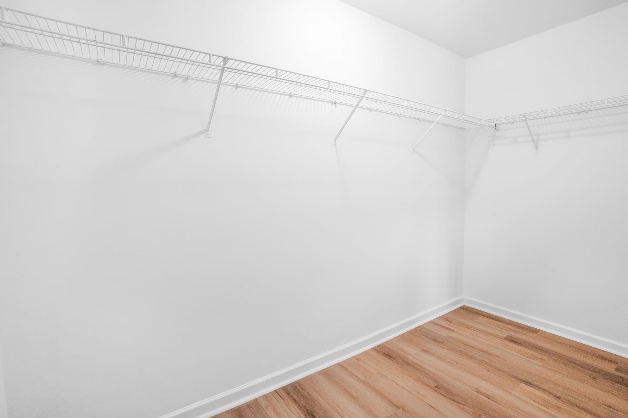 Charlotte Townhome: 8177 Millwright Ln