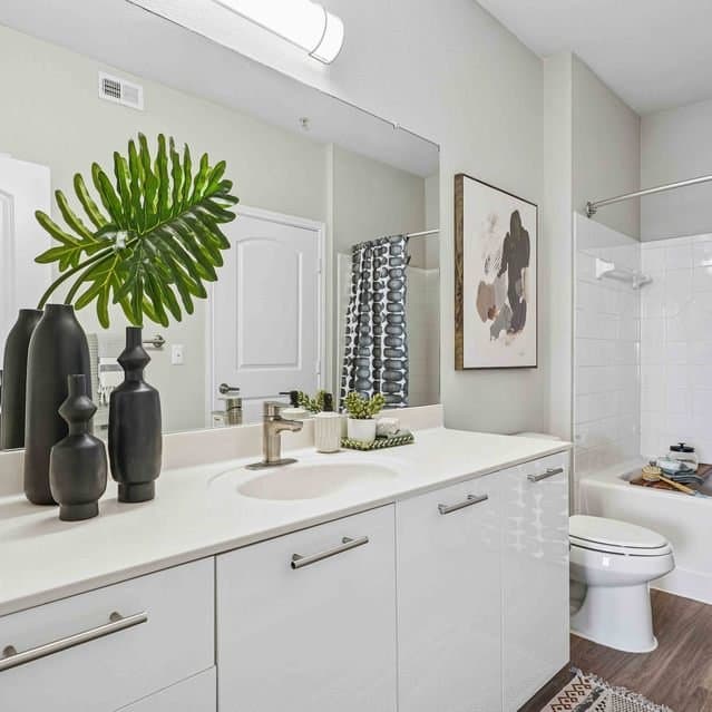 Dallas Apartment: 3850 W Northwest Hwy
