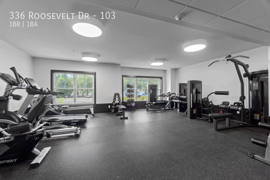 Seymour Apartment: 336 Roosevelt Dr