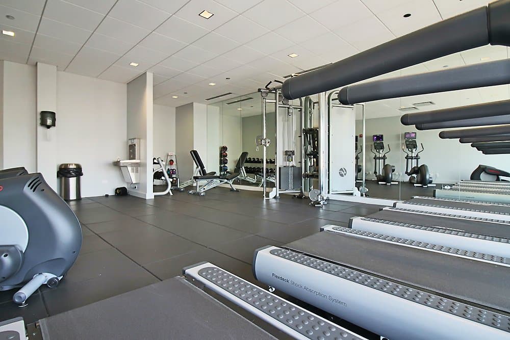 Chicago Condo: 1000 S Wells St