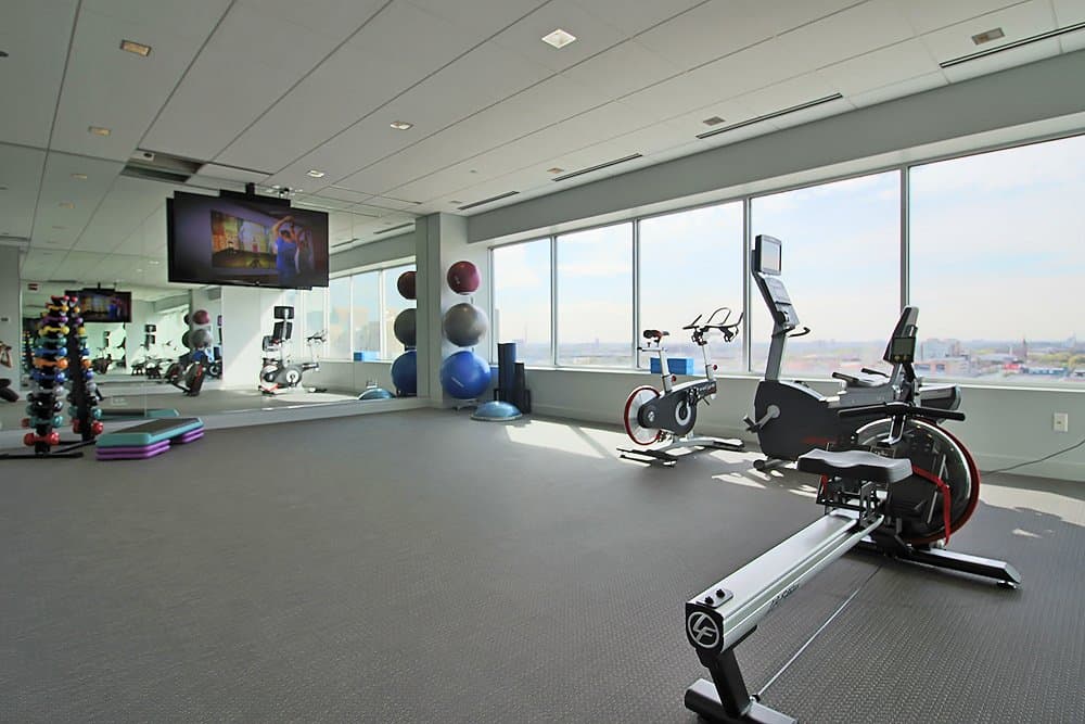 Chicago Condo: 1000 S Wells St