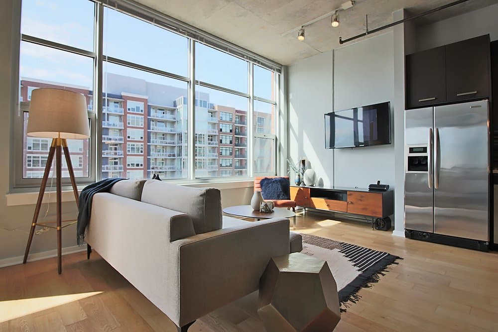Chicago Condo: 1000 S Wells St