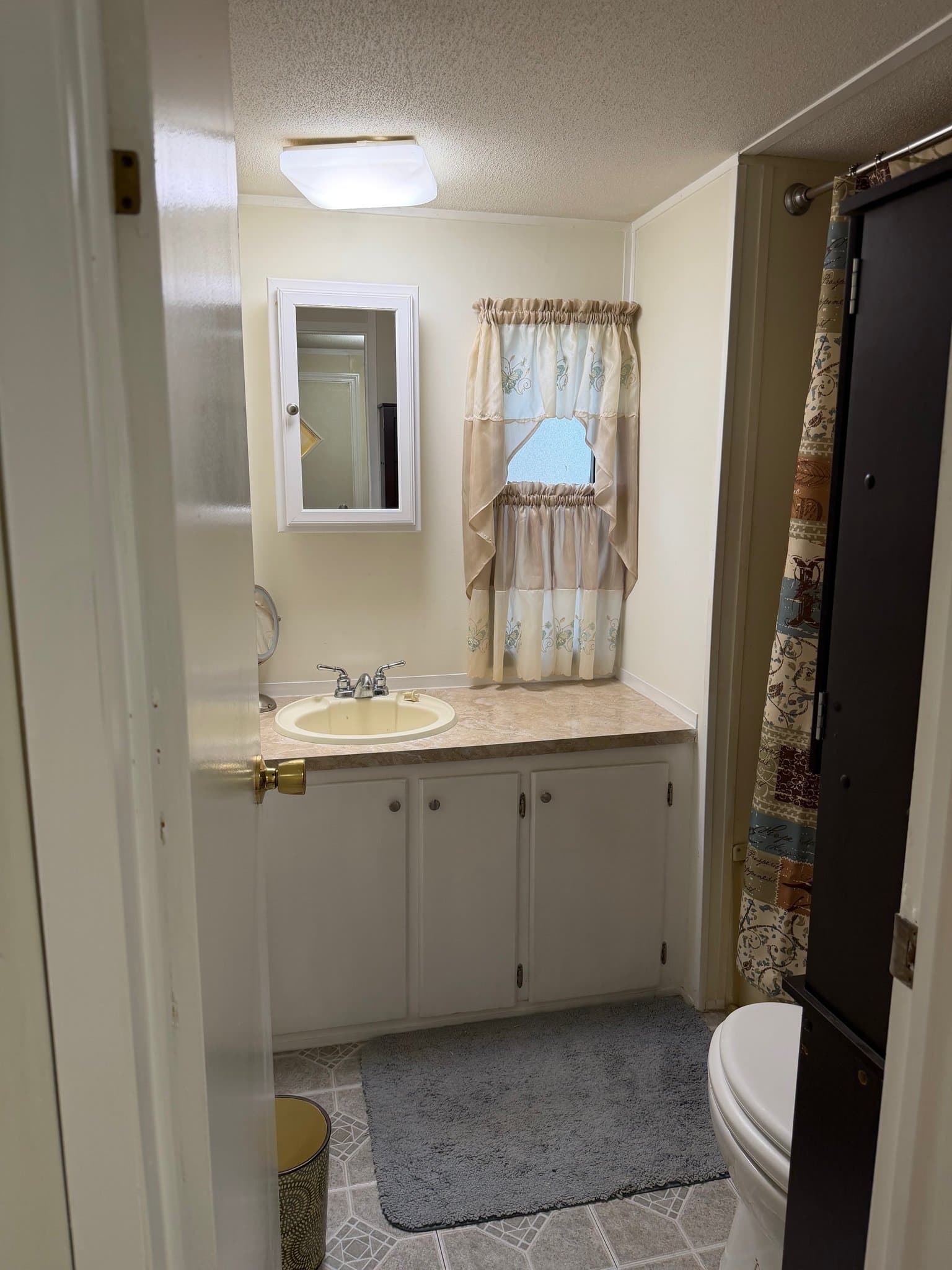 Raleigh House: 1017 Southern Living Dr