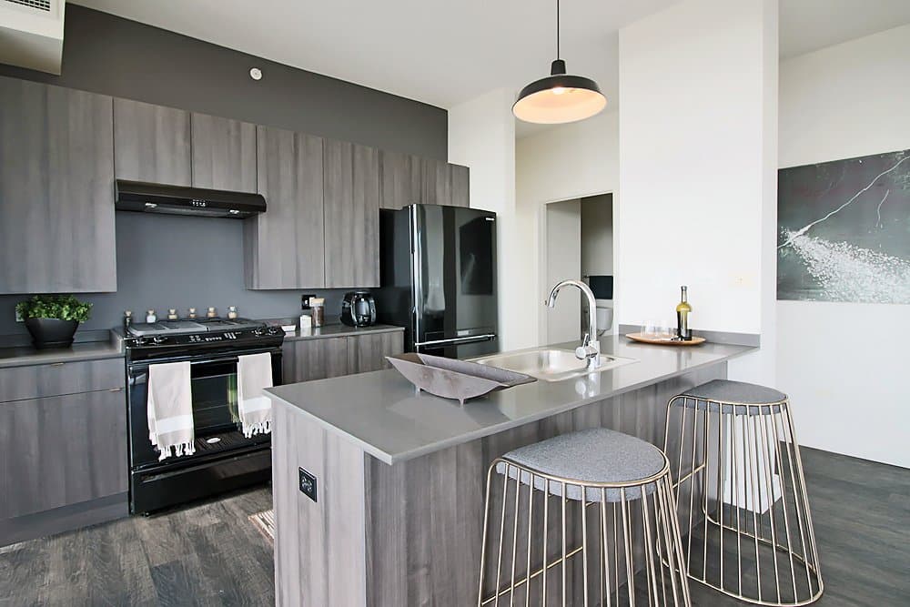 Chicago Condo: 200 E Cermak Rd