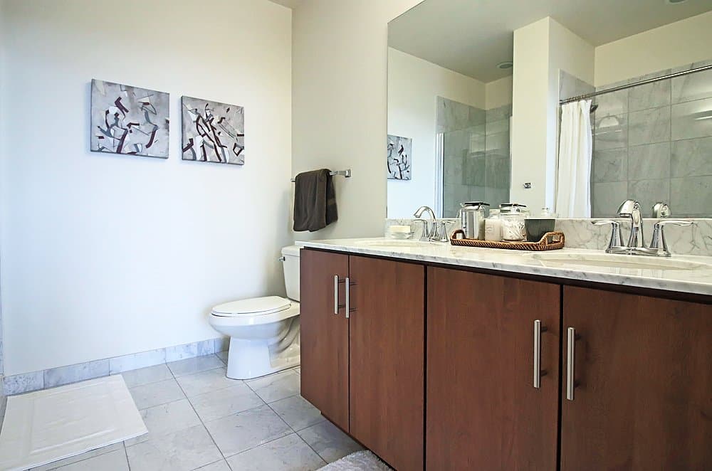 Chicago Condo: 200 E Cermak Rd