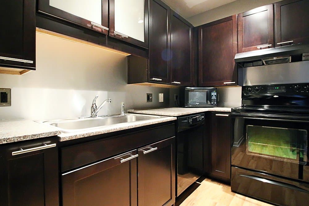 Chicago Condo: 151 N Franklin St