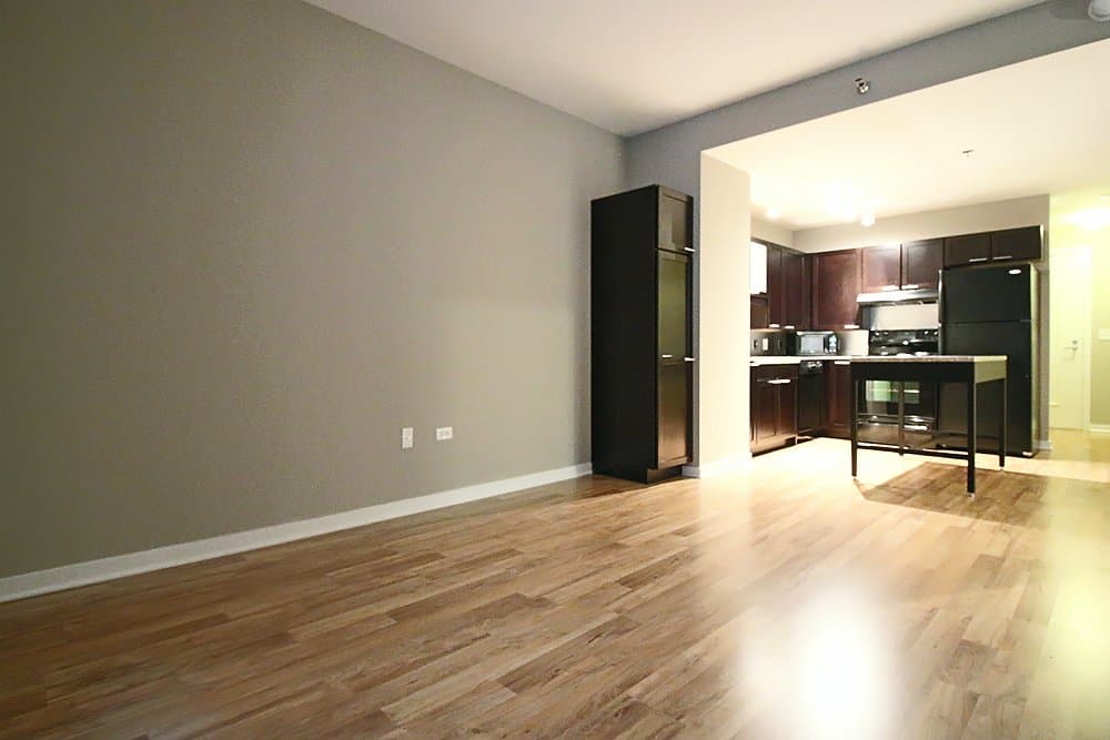 Chicago Condo: 151 N Franklin St