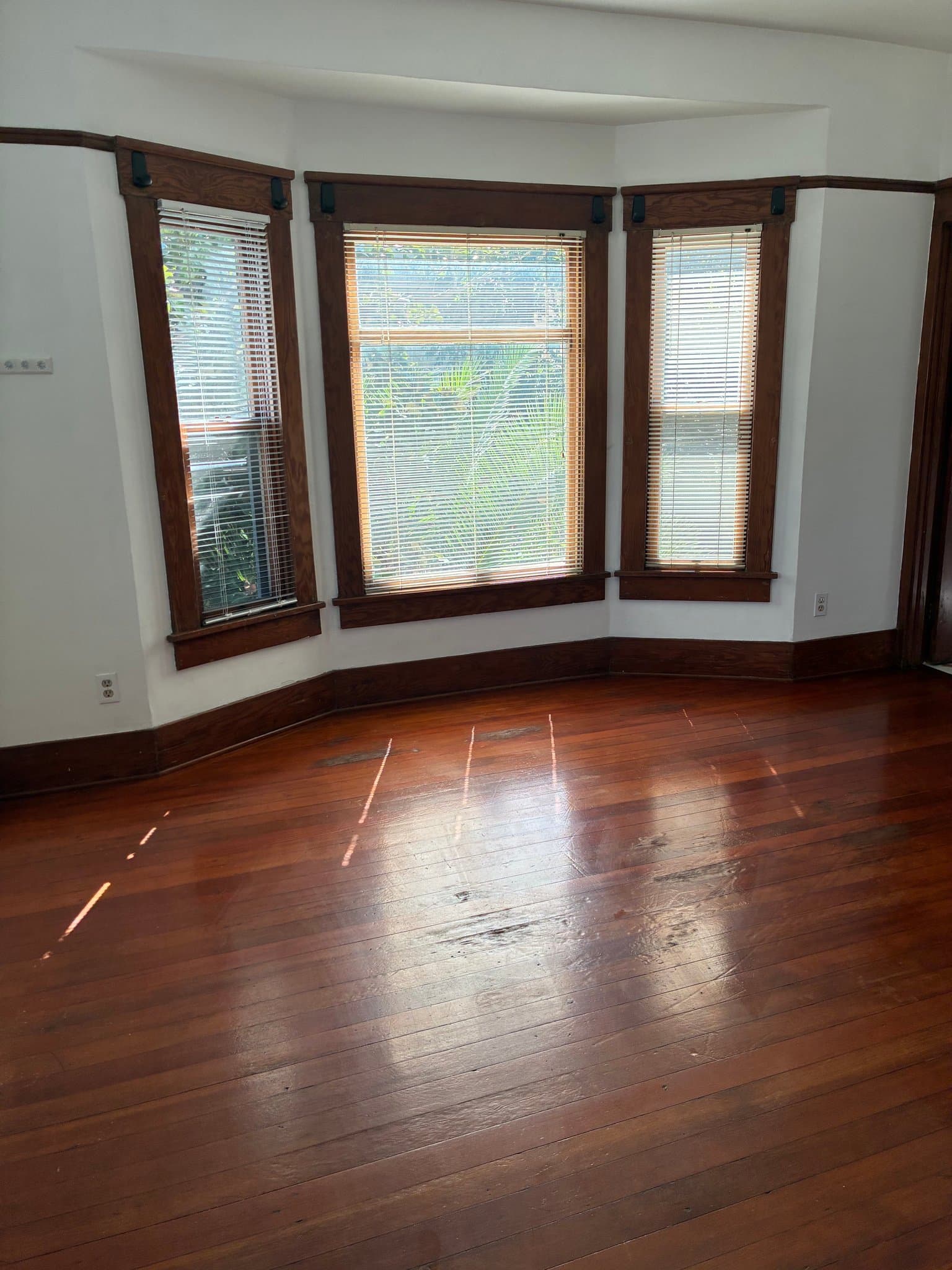 Long Beach Apartment: 419 Cedar Ave