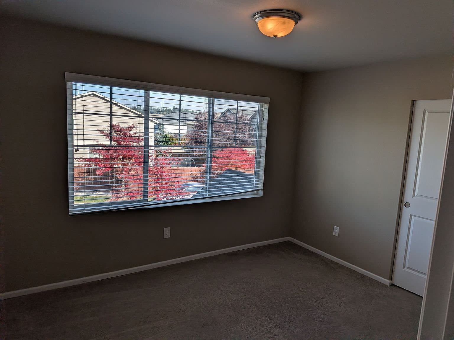 Lacey House: 8643 Spartacus St NE