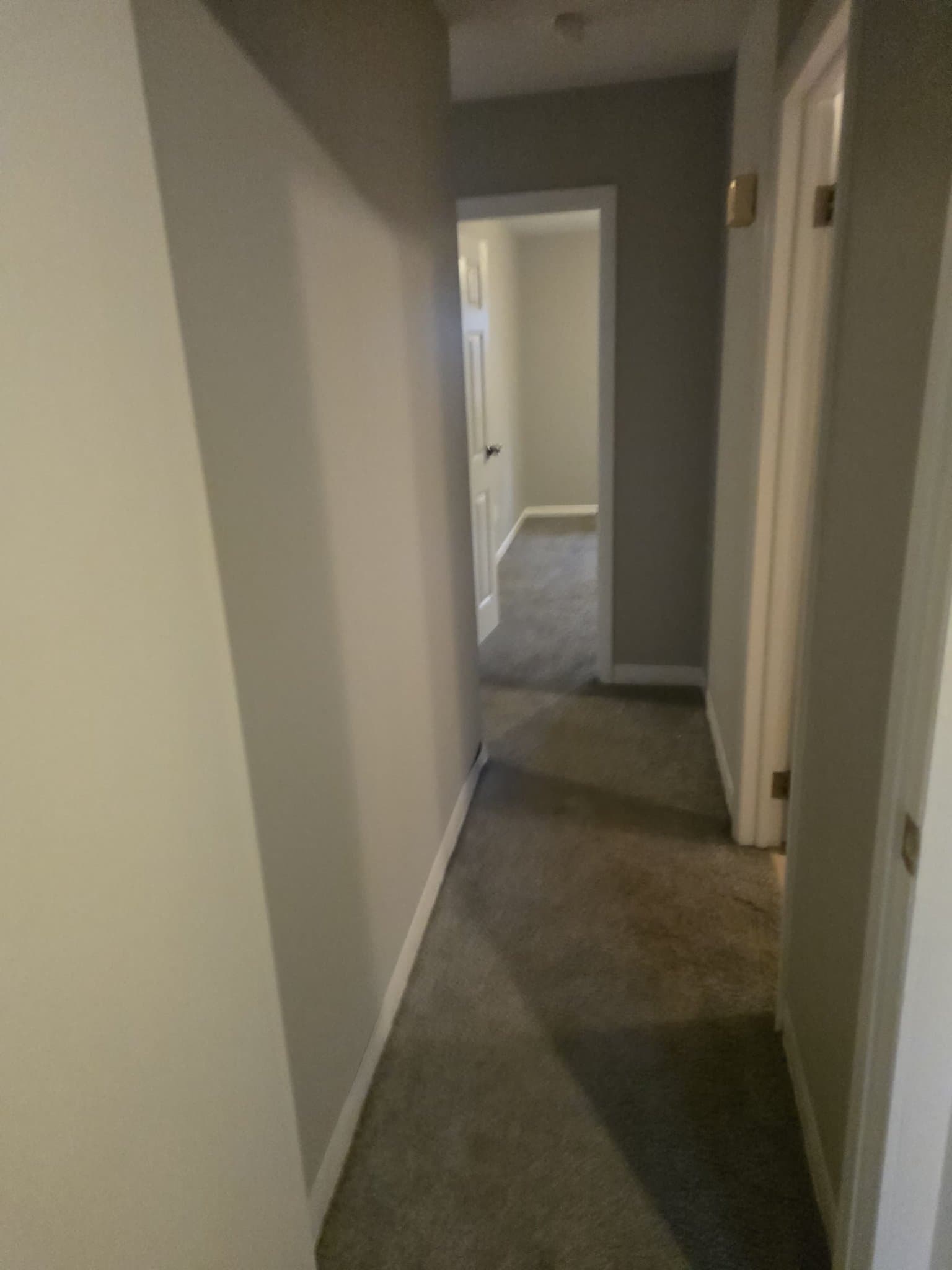 Waterbury Apartment: 40 Whitewood Road