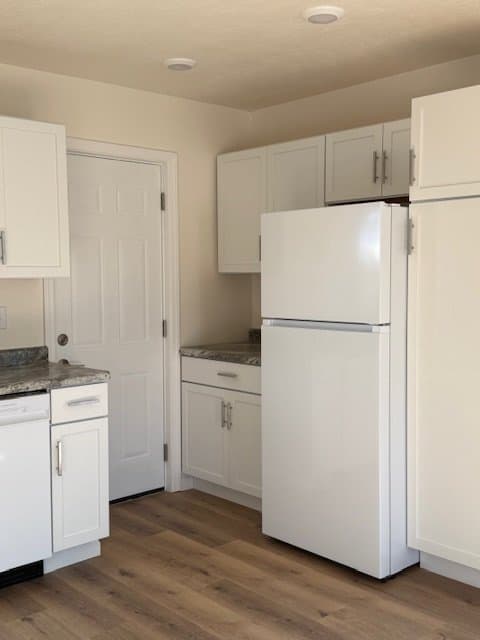 Albion Townhome: 1210 3rd St