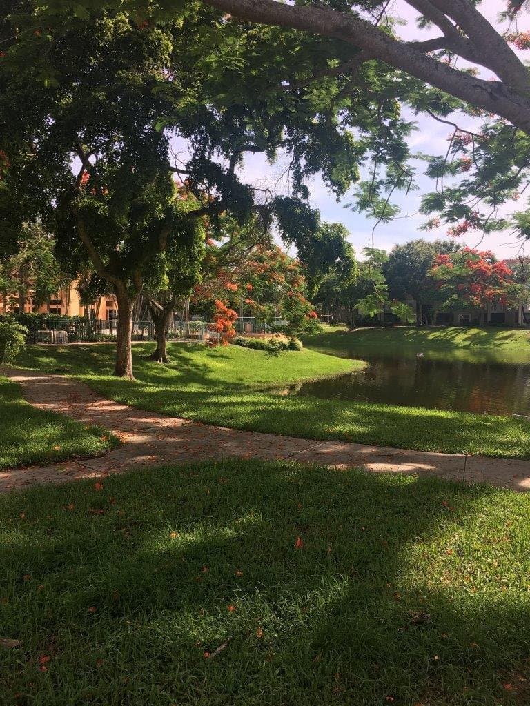 Delray Beach Condo: 1865 Palm Cove Blvd