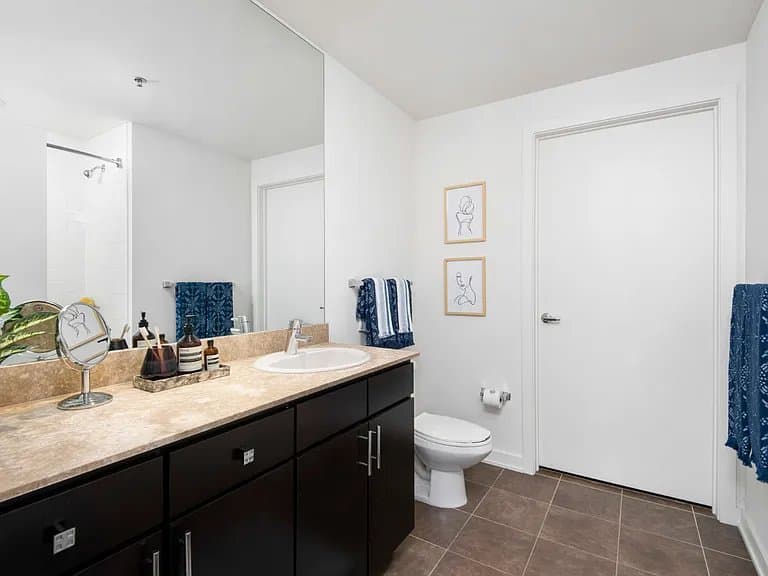 Chicago Condo: 169 W Kinzie