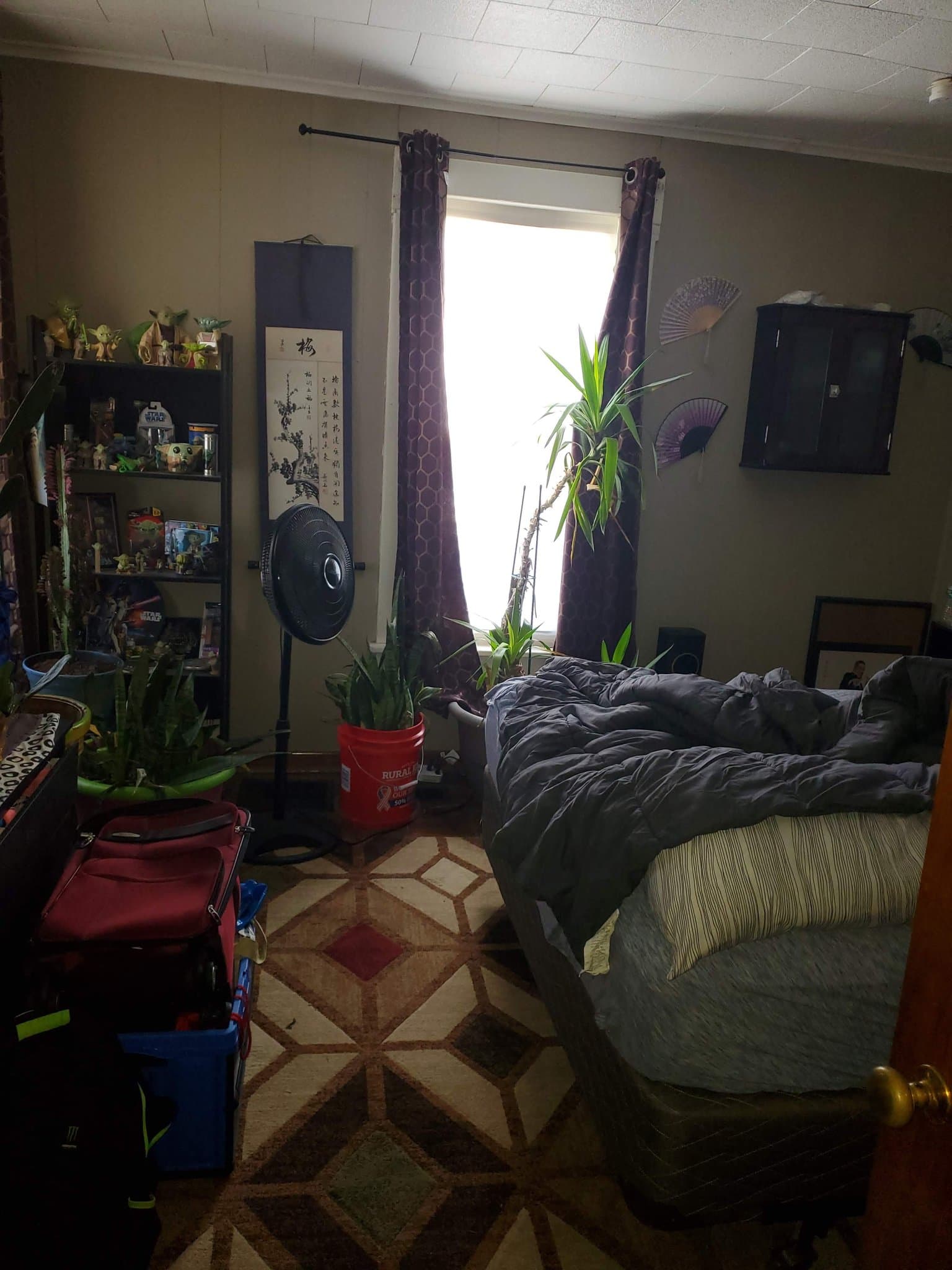 Carbondale House: 303 W Sycamore St