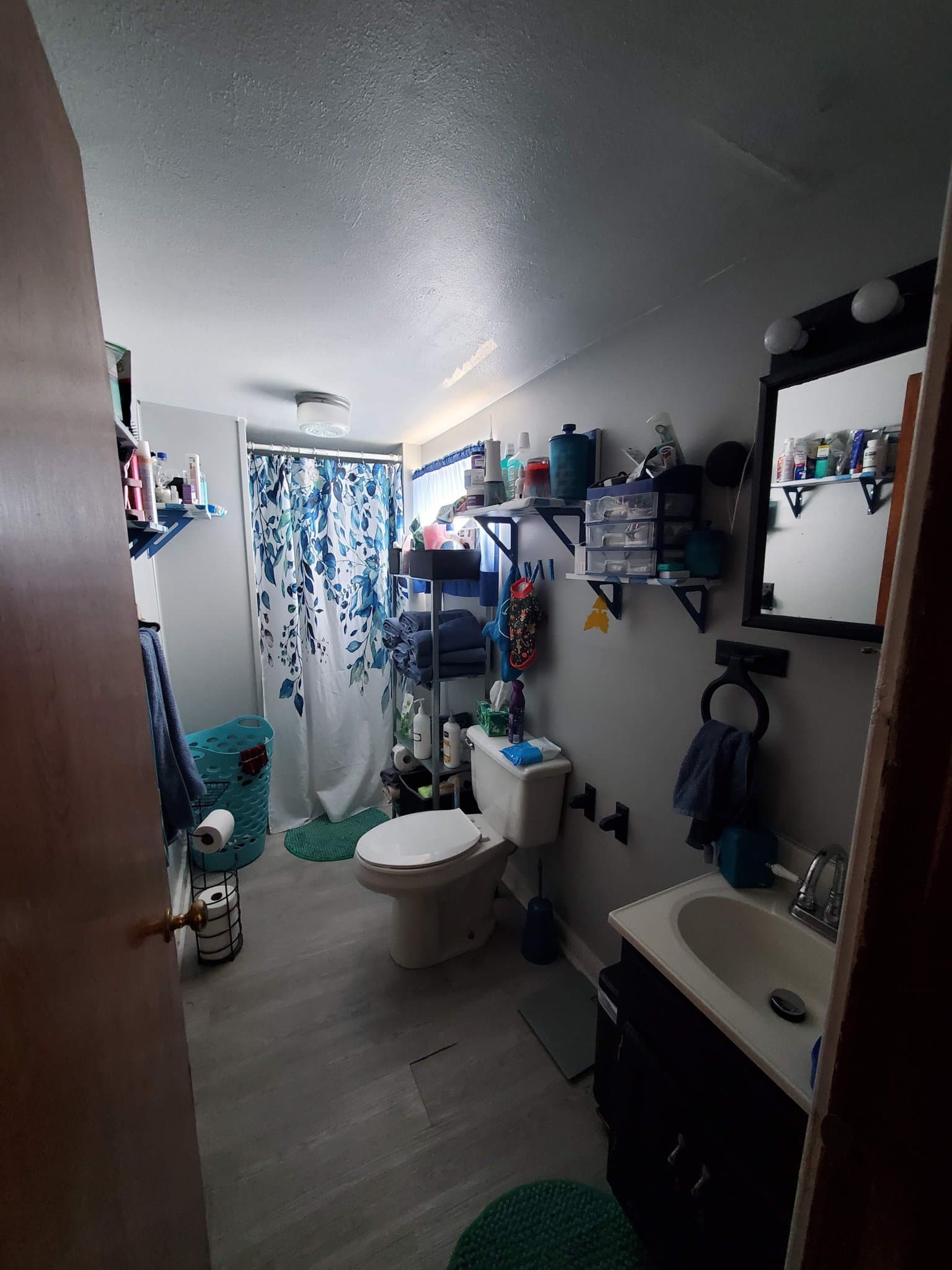 Carbondale House: 303 W Sycamore St