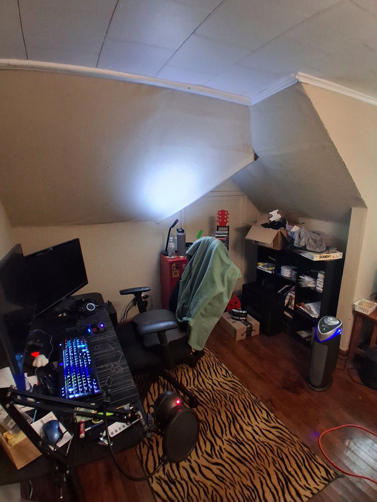 Carbondale House: 303 W Sycamore St