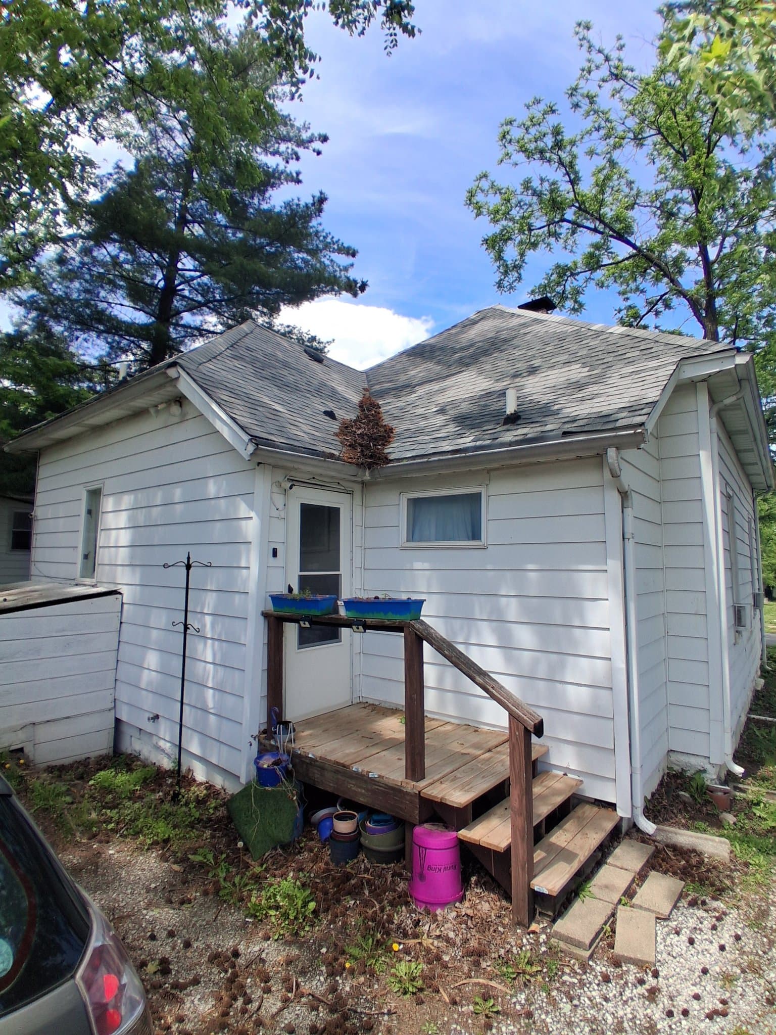 Carbondale House: 303 W Sycamore St