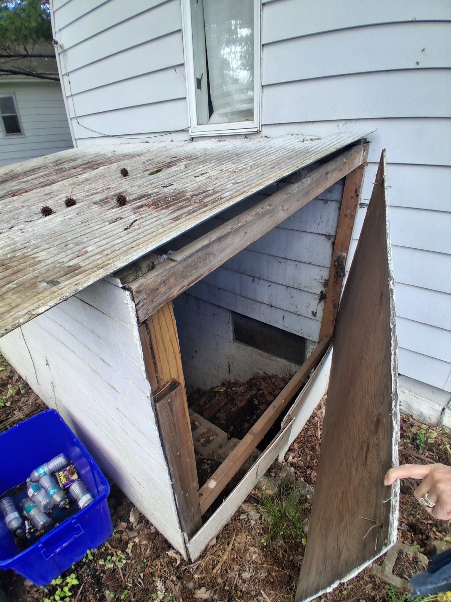 Carbondale House: 303 W Sycamore St