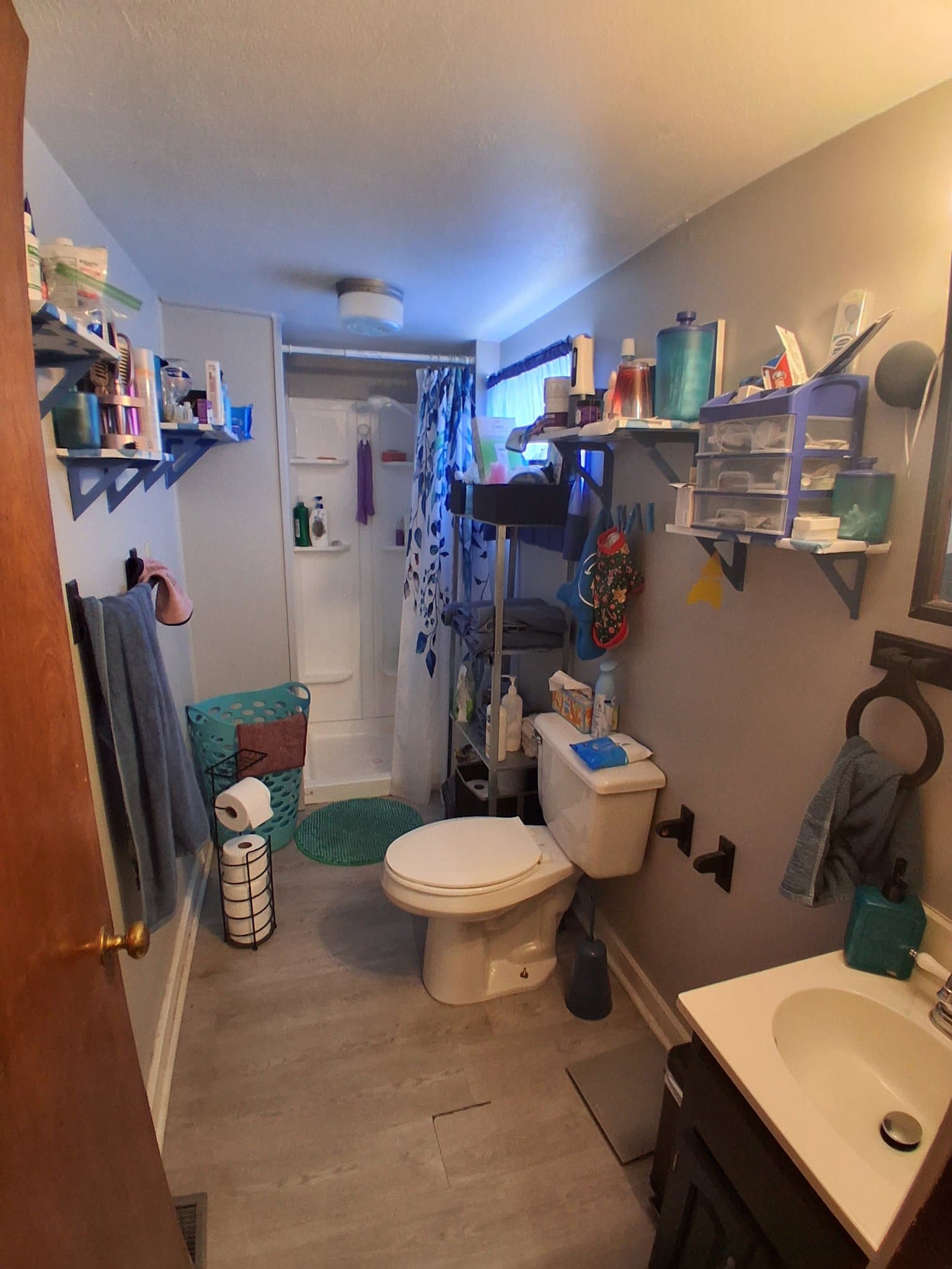 Carbondale House: 303 W Sycamore St