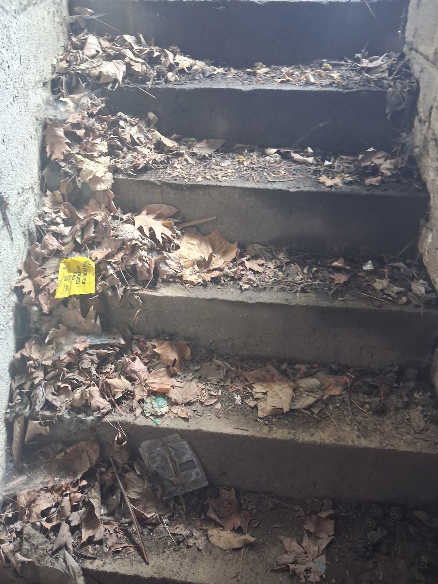 Carbondale House: 303 W Sycamore St