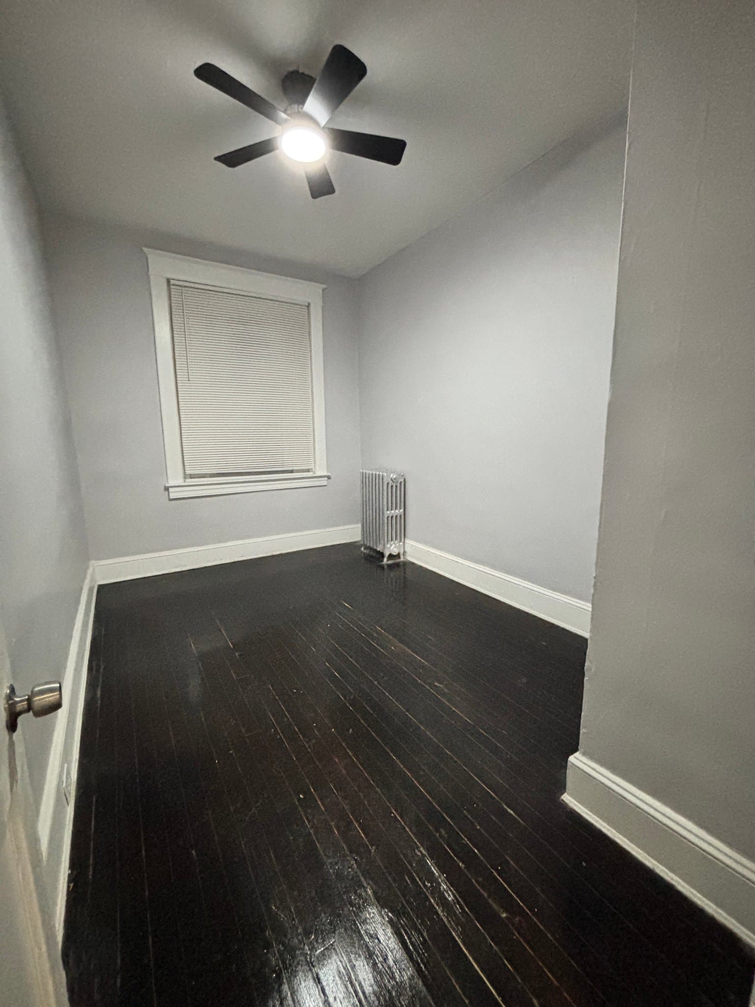Baltimore Multiplex: 2464 Keyworth Ave