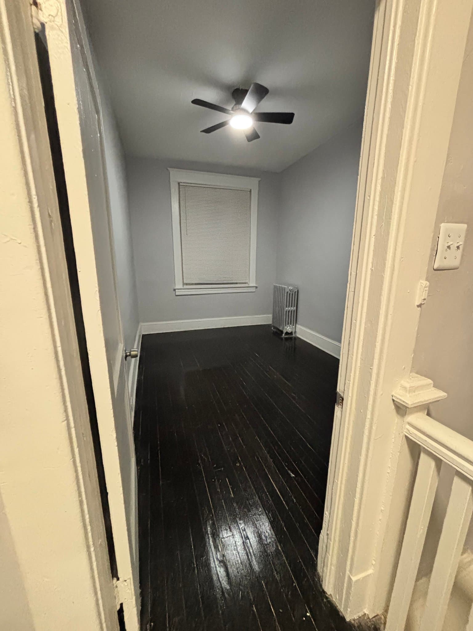 Baltimore Multiplex: 2464 Keyworth Ave
