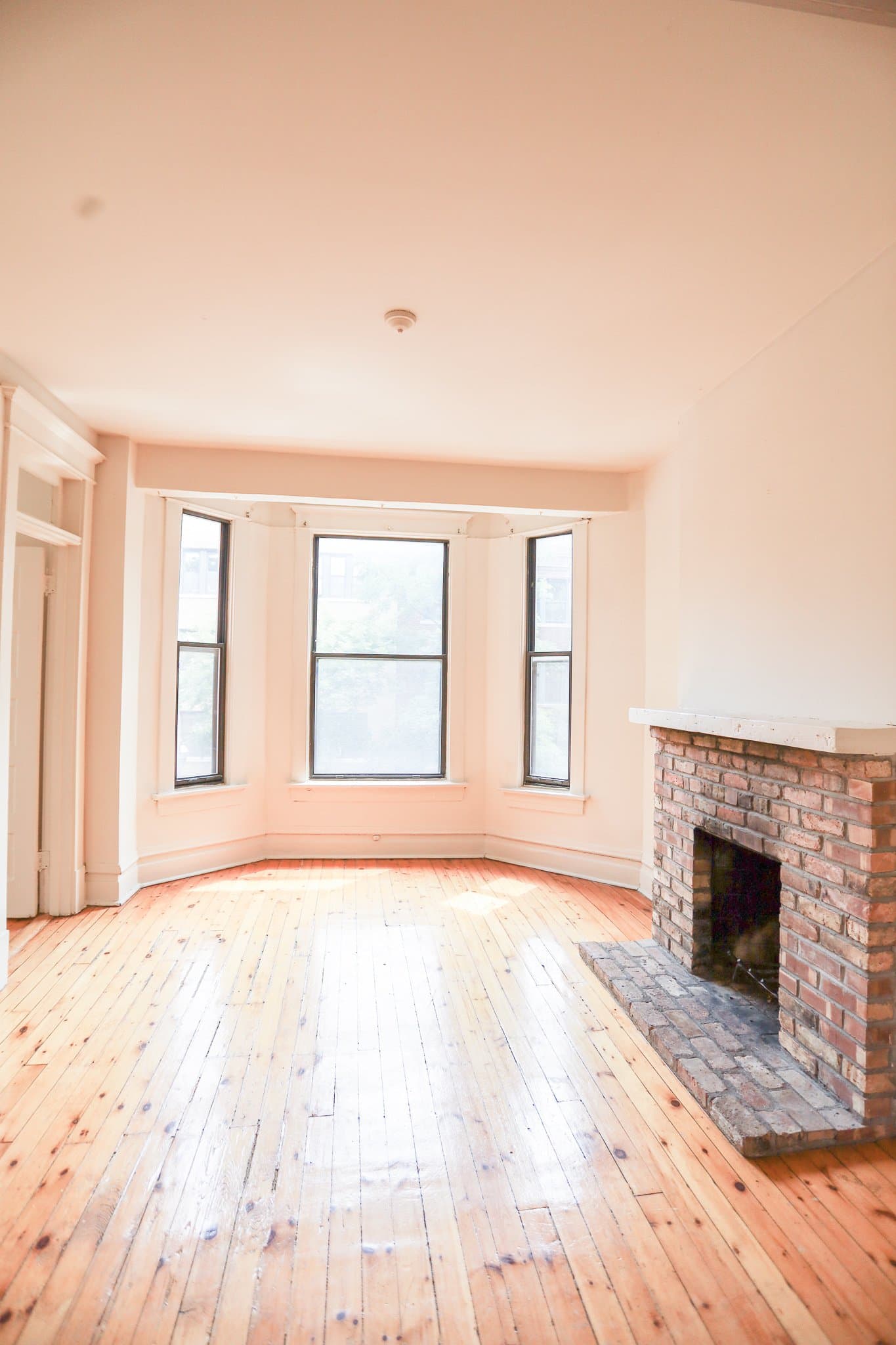 Chicago Apartment: 840 Cornelia
