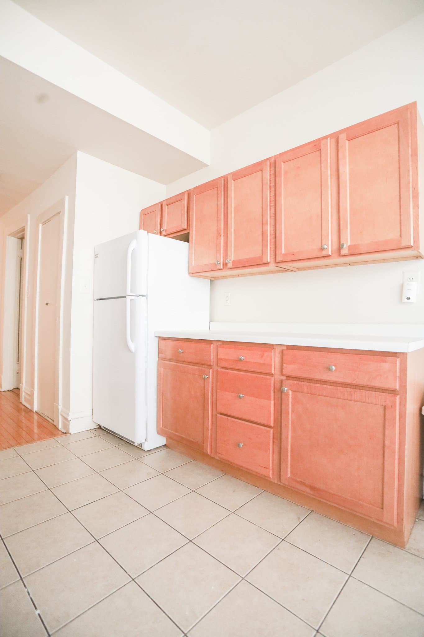 Chicago Apartment: 840 Cornelia