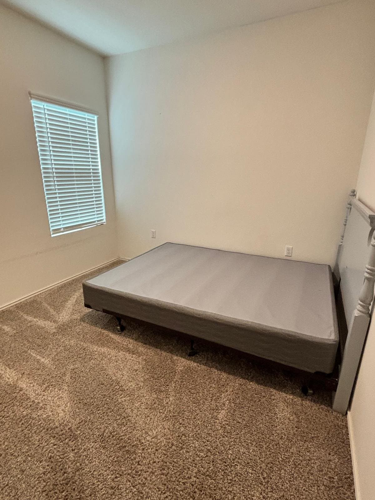 Pflugerville Single Room: 2205 forgetmenot lane