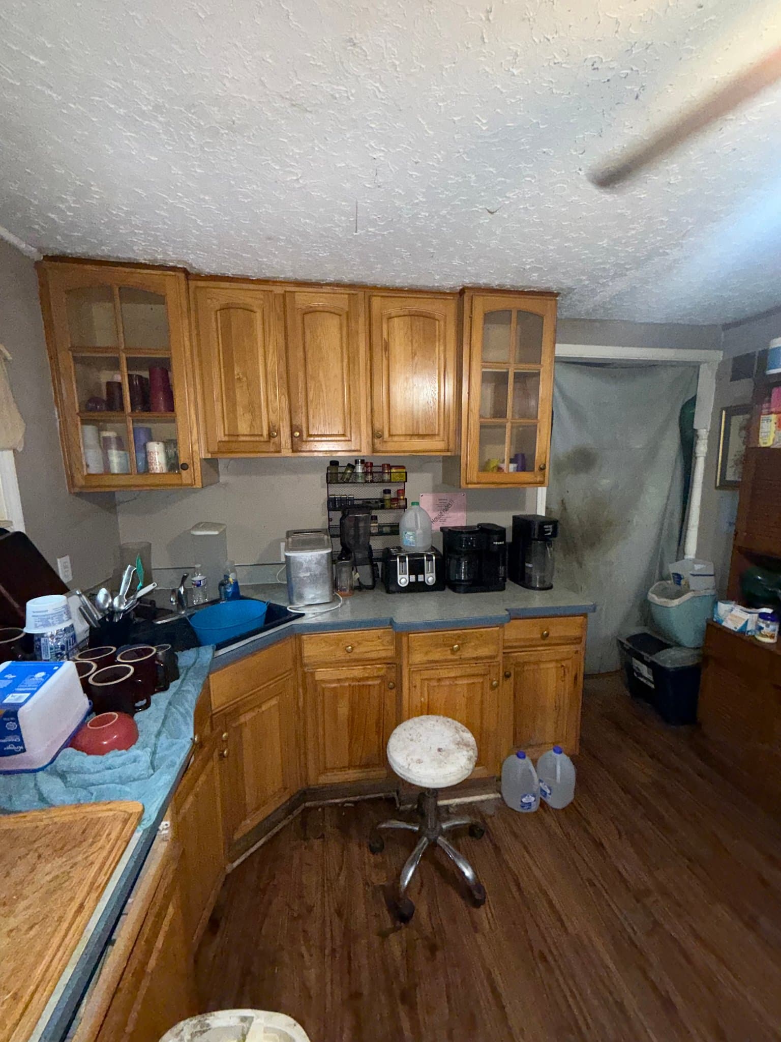 Flint House: 1206 Markham St
