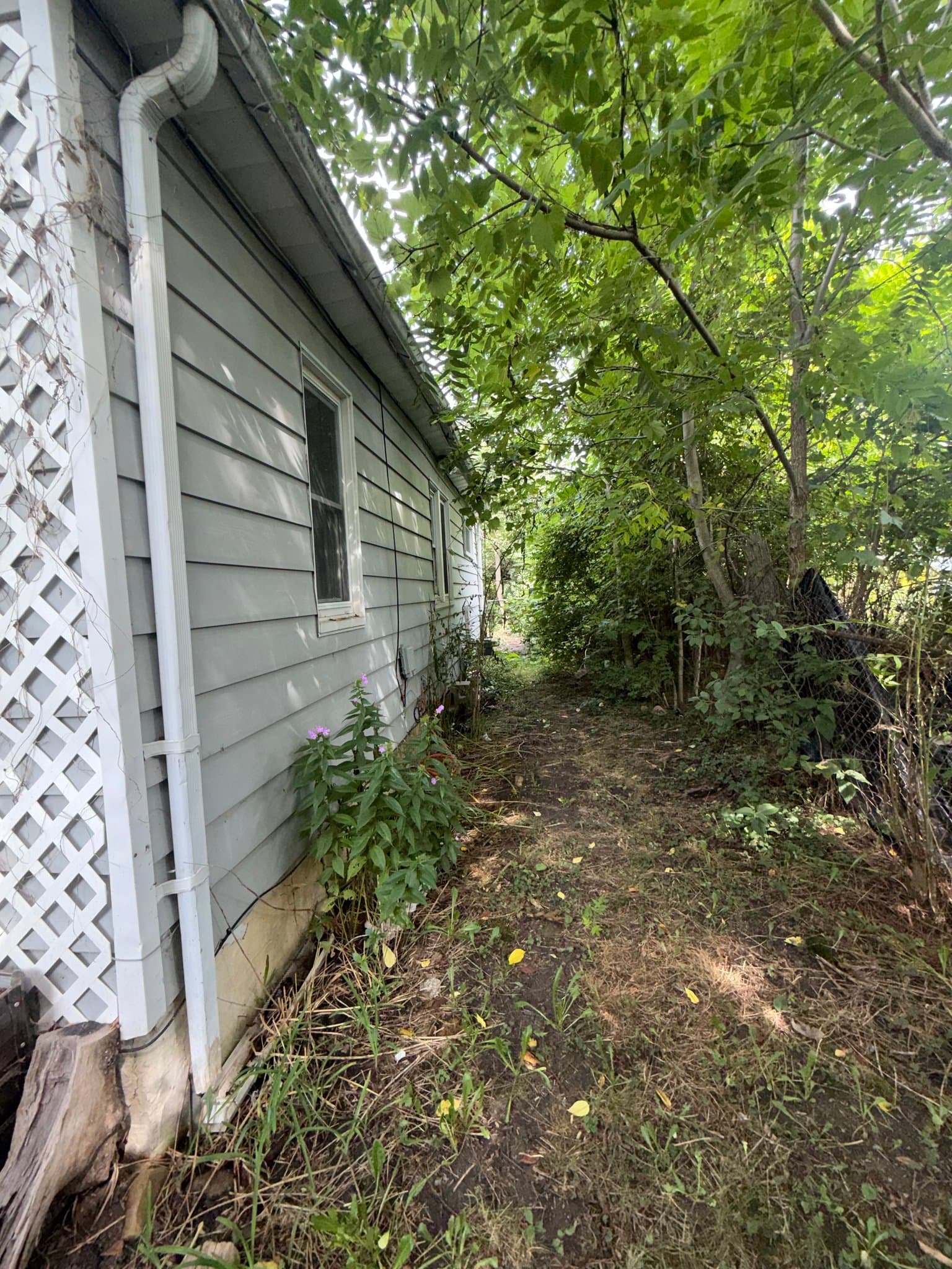 Flint House: 1206 Markham St