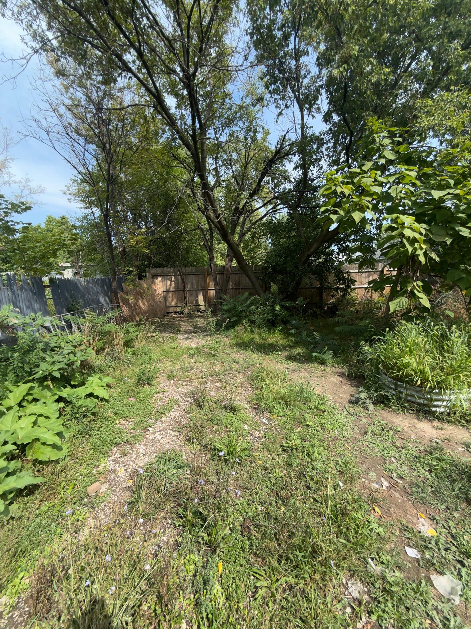 Flint House: 1206 Markham St
